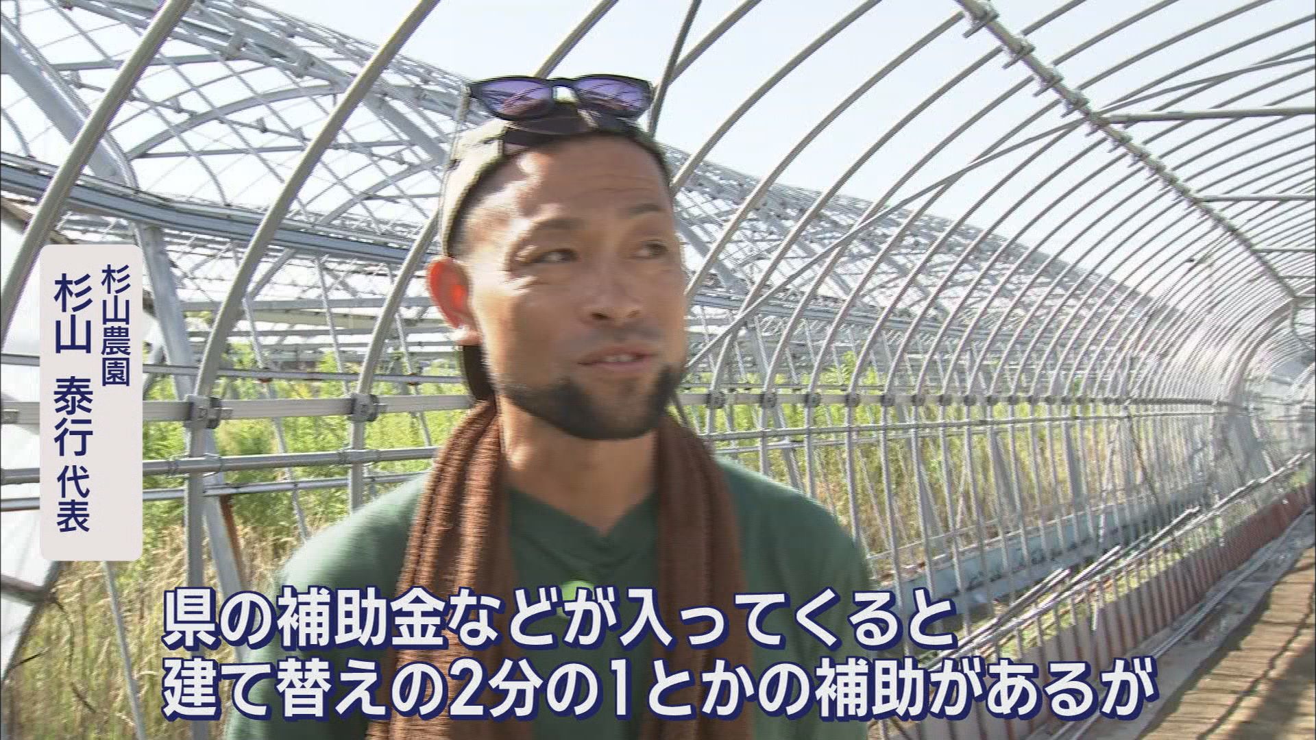 “国内最大級”竜巻から1カ月　ハウス8棟被害のイチゴ農家「売り上げ80%減　ハウス修繕に3000万円」　静岡・牧之原市