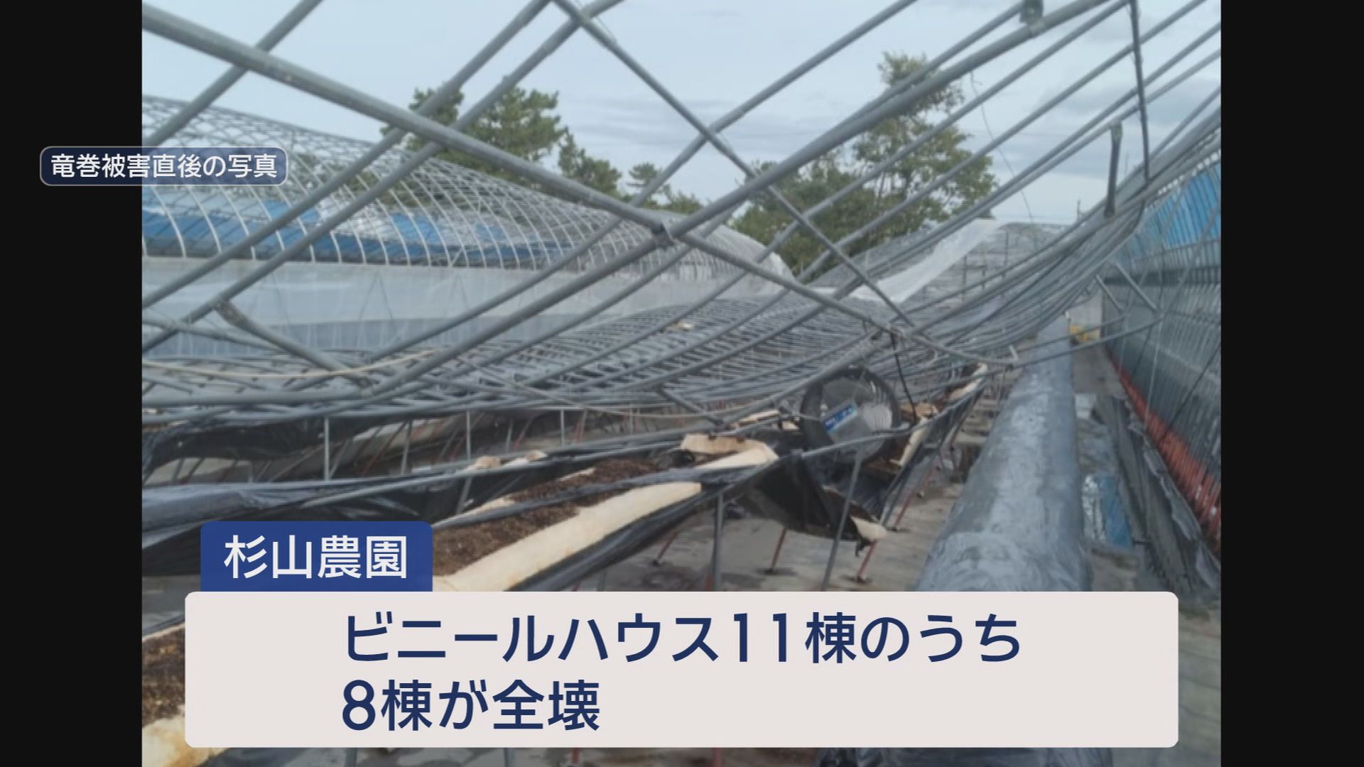 “国内最大級”竜巻から1カ月　ハウス8棟被害のイチゴ農家「売り上げ80%減　ハウス修繕に3000万円」　静岡・牧之原市