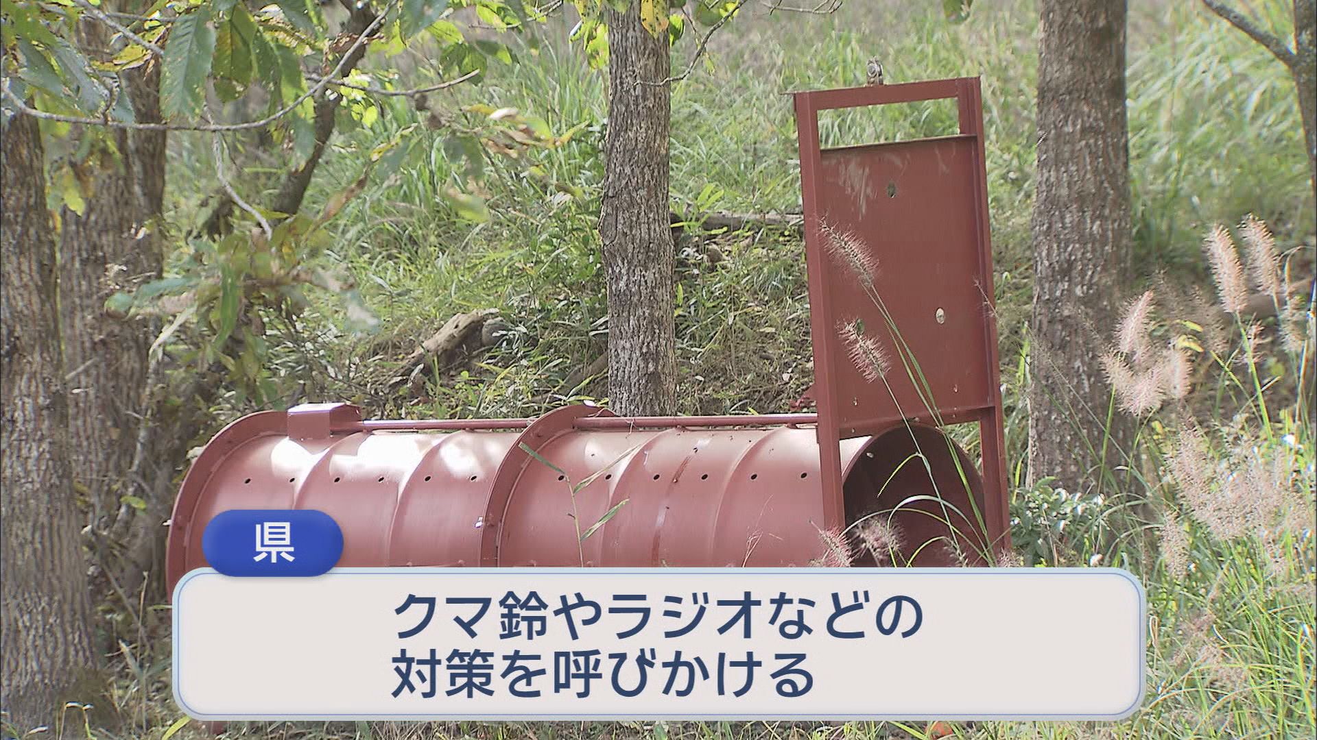 全国でクマ被害急増　10月だけで16件の目撃情報…小学校にはクマの足跡　静岡・富士宮市