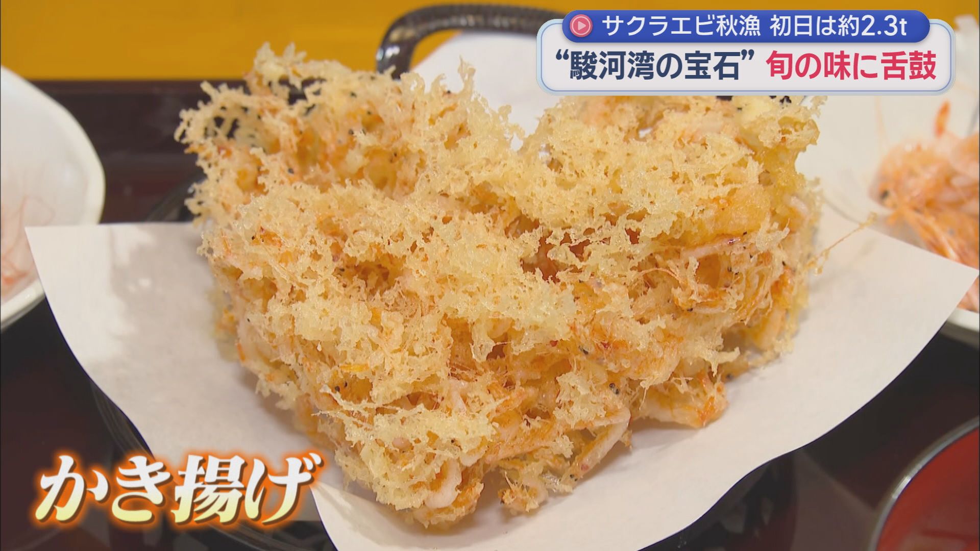 待ちに待った「駿河湾の宝石」　サクラエビ秋漁が始まる　天候などの影響で解禁日から6日経っての初漁に