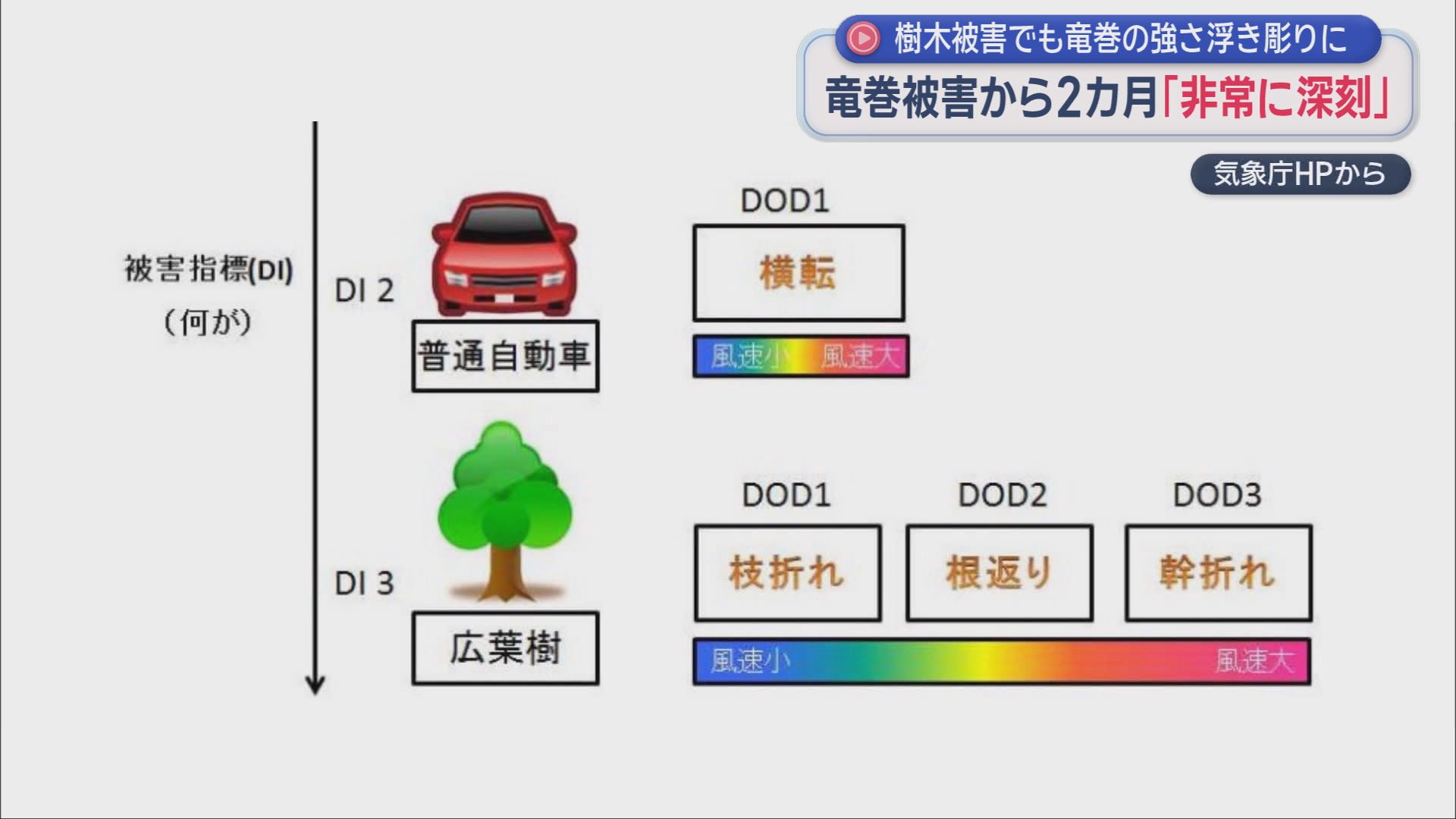 静岡・牧之原市などの竜巻被害から２ヶ月　「枝折れ」「根返り」「幹折れ」被災地に残された樹木の被害から竜巻の強さが浮き彫りに