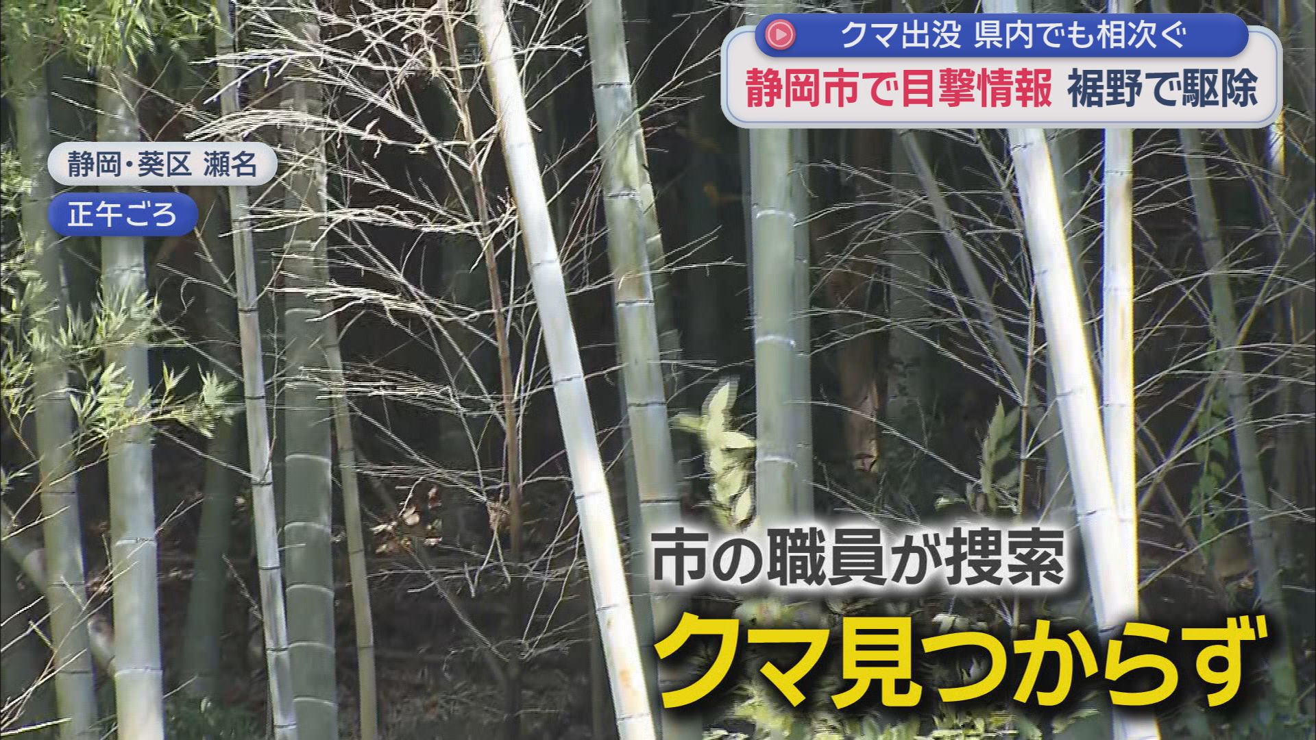 全国でクマの被害が多発する中、静岡県内でもクマの捕獲や目撃情報が相次ぐ　対応に迫られる施設も