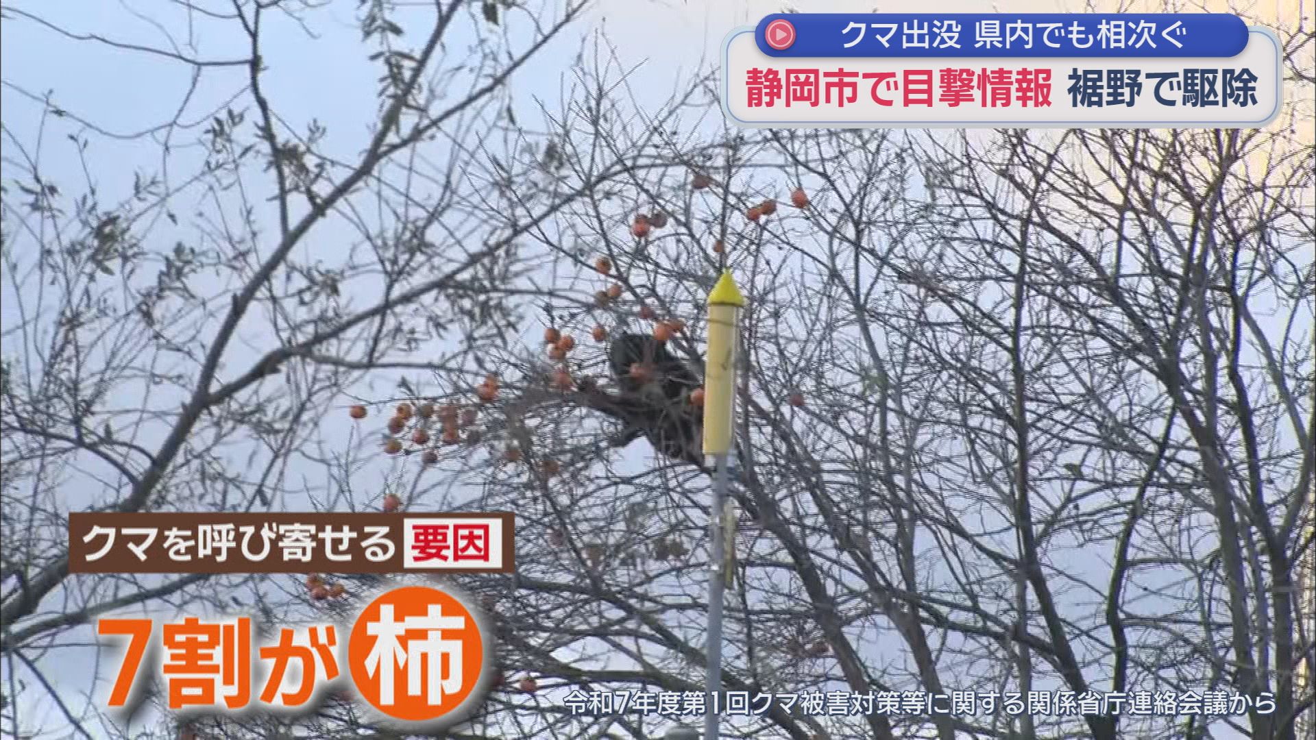 全国でクマの被害が多発する中、静岡県内でもクマの捕獲や目撃情報が相次ぐ　対応に迫られる施設も