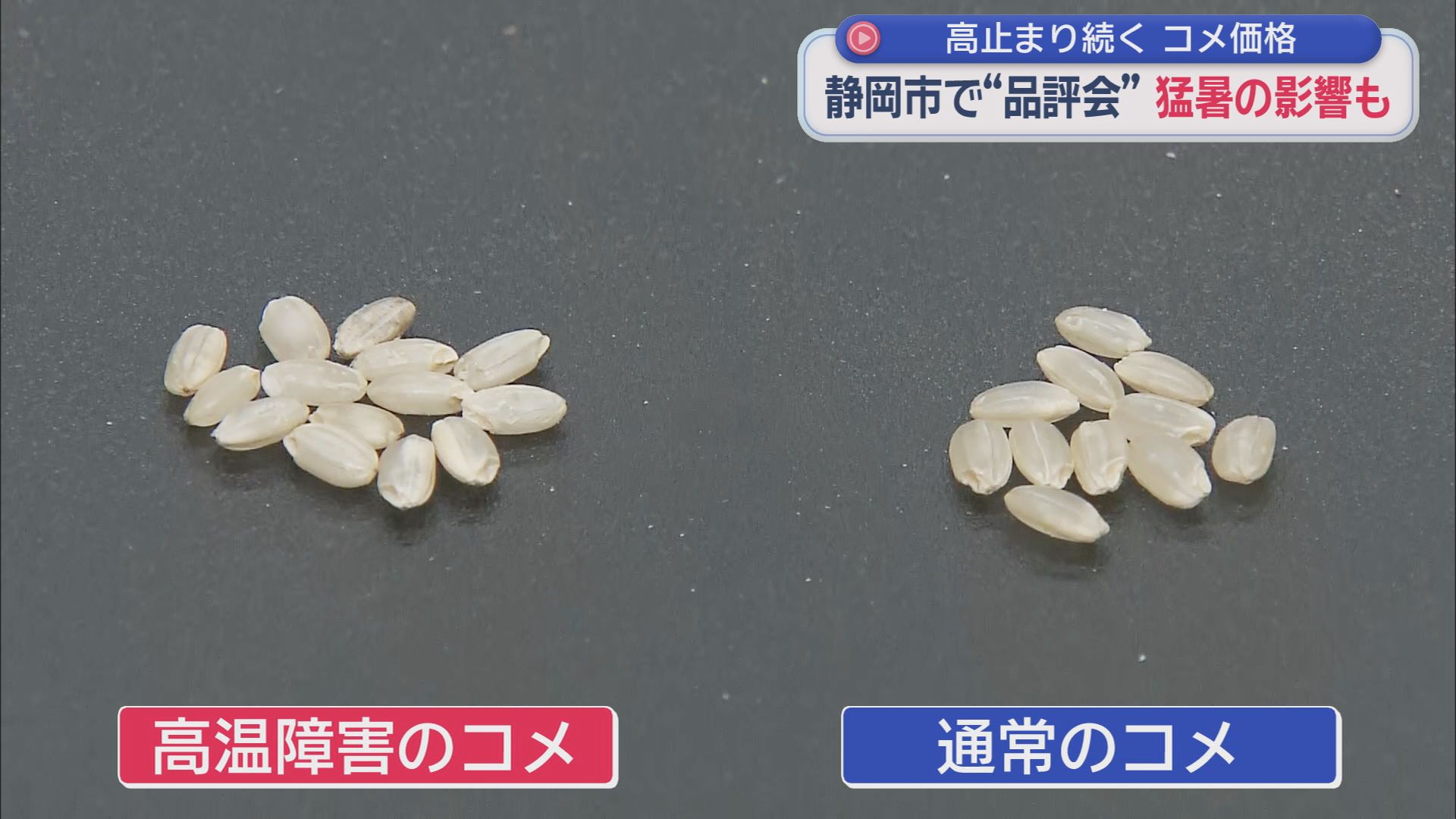 高止まり続くコメ価格…一方で『コメ余り』も　倉庫には米袋がびっしり「出庫はスローペース」　スーパーでは高い新米売れず在庫過多　静岡