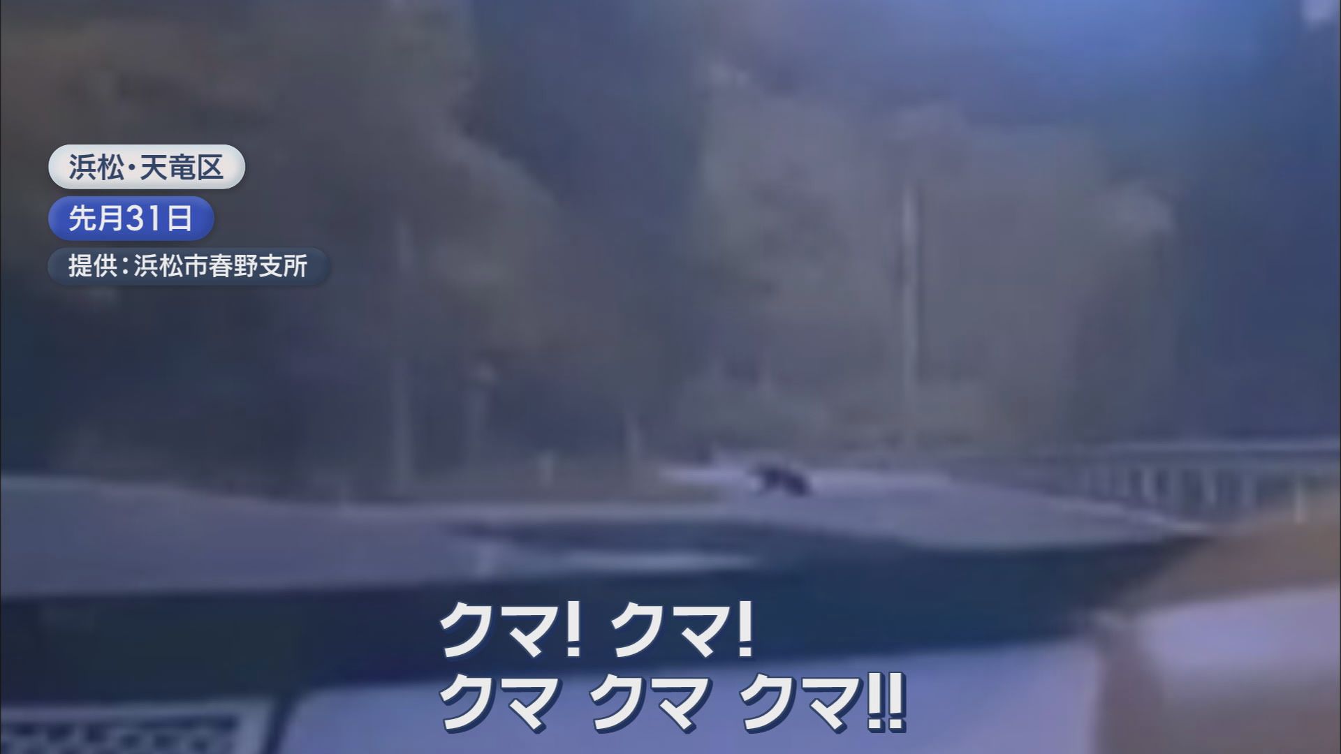 全国でクマ被害急増　10月だけで16件の目撃情報…小学校にはクマの足跡　静岡・富士宮市