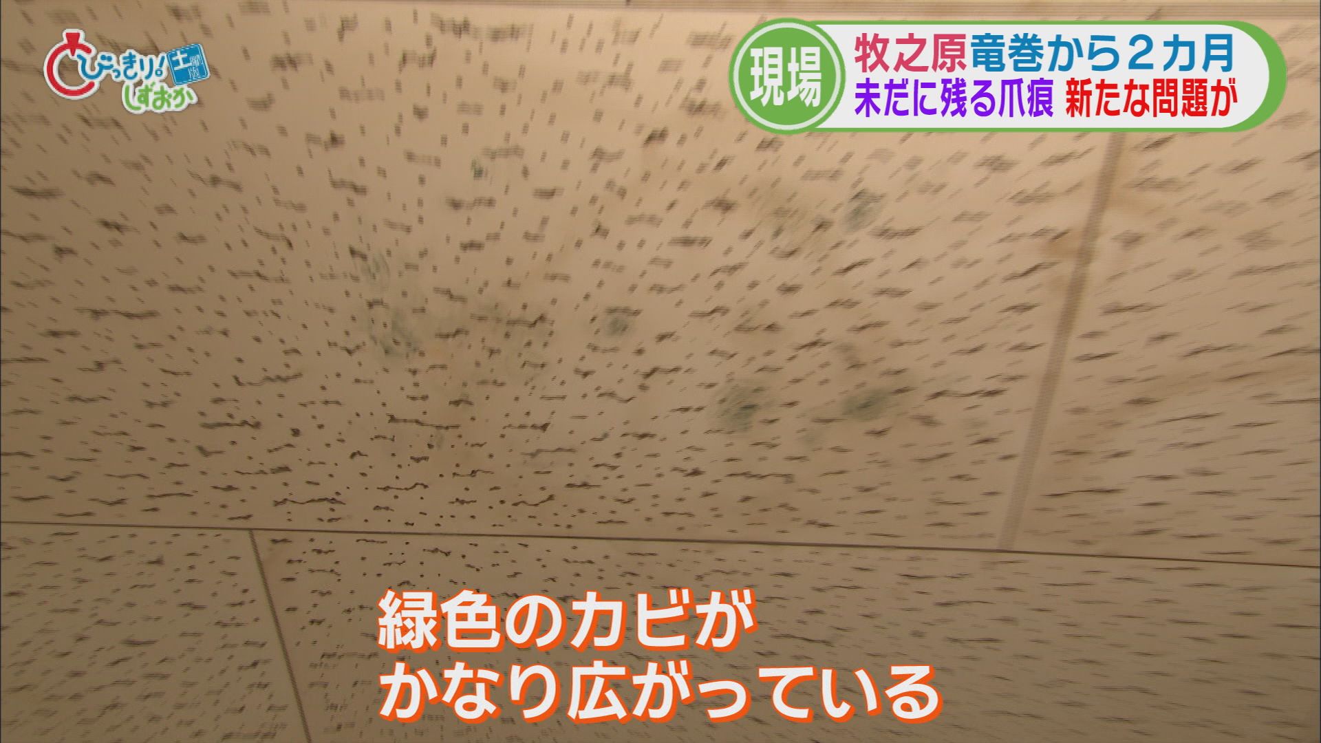 国内最大級の竜巻被害から2カ月…室内に「カビ」　 進まない復旧で人口流出も　1市1町で1700棟を超える被害　静岡・牧之原市