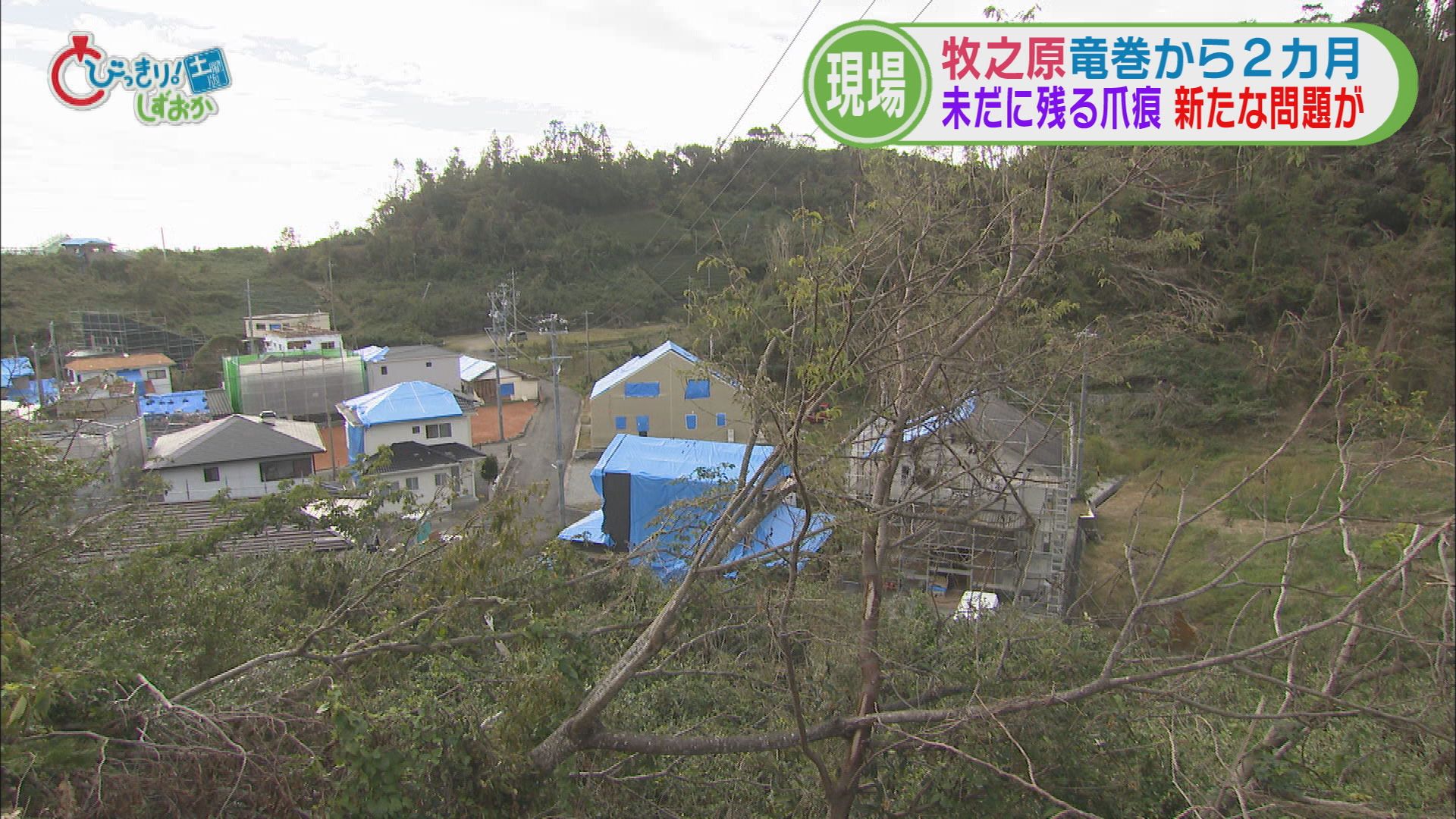 国内最大級の竜巻被害から2カ月…室内に「カビ」　 進まない復旧で人口流出も　1市1町で1700棟を超える被害　静岡・牧之原市