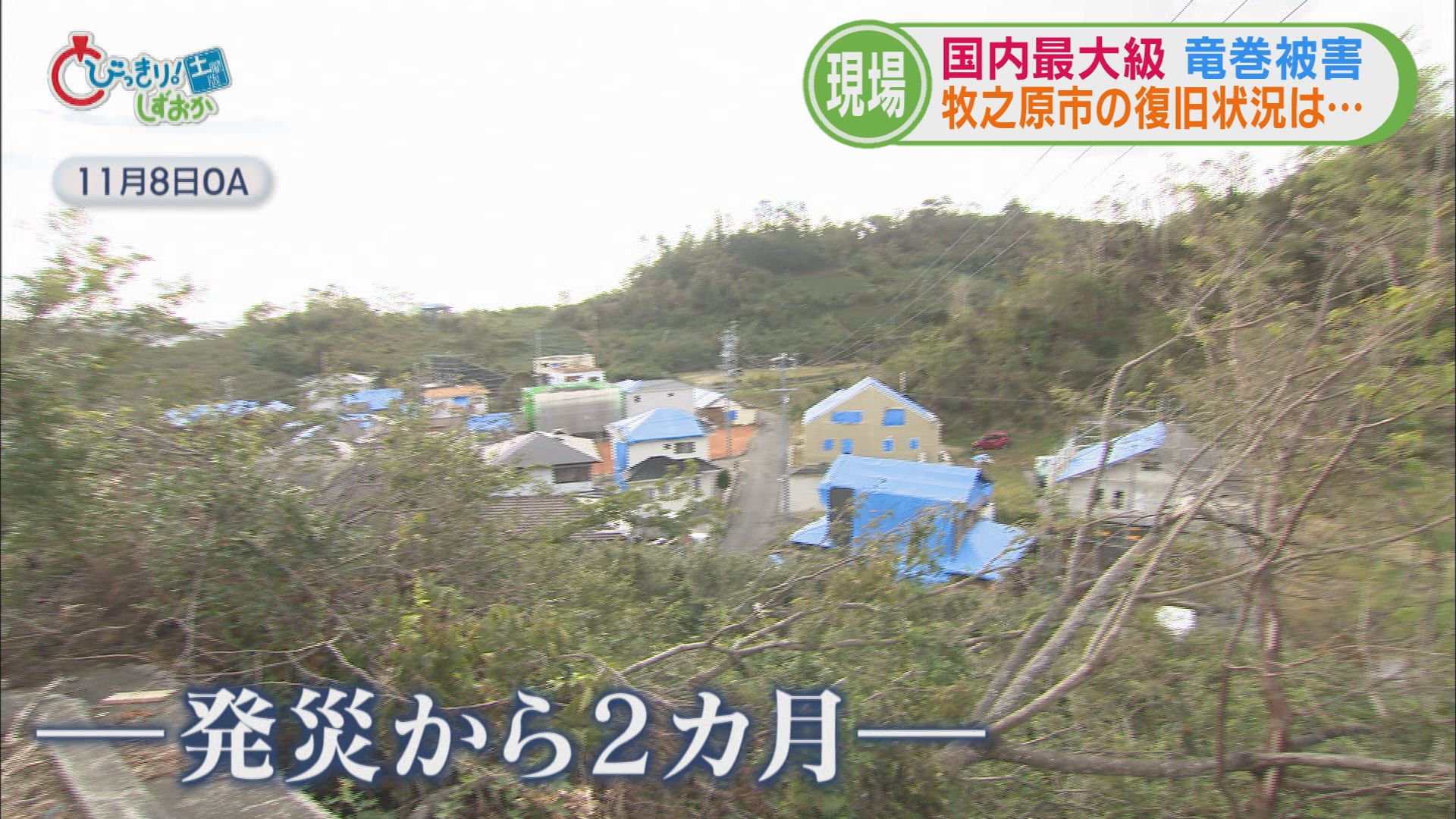 “国内最大規模“竜巻で1340棟に被害…3カ月たっても屋根にブルーシート　しばらくは張り直しの必要も　牧之原市　/静岡の2025年