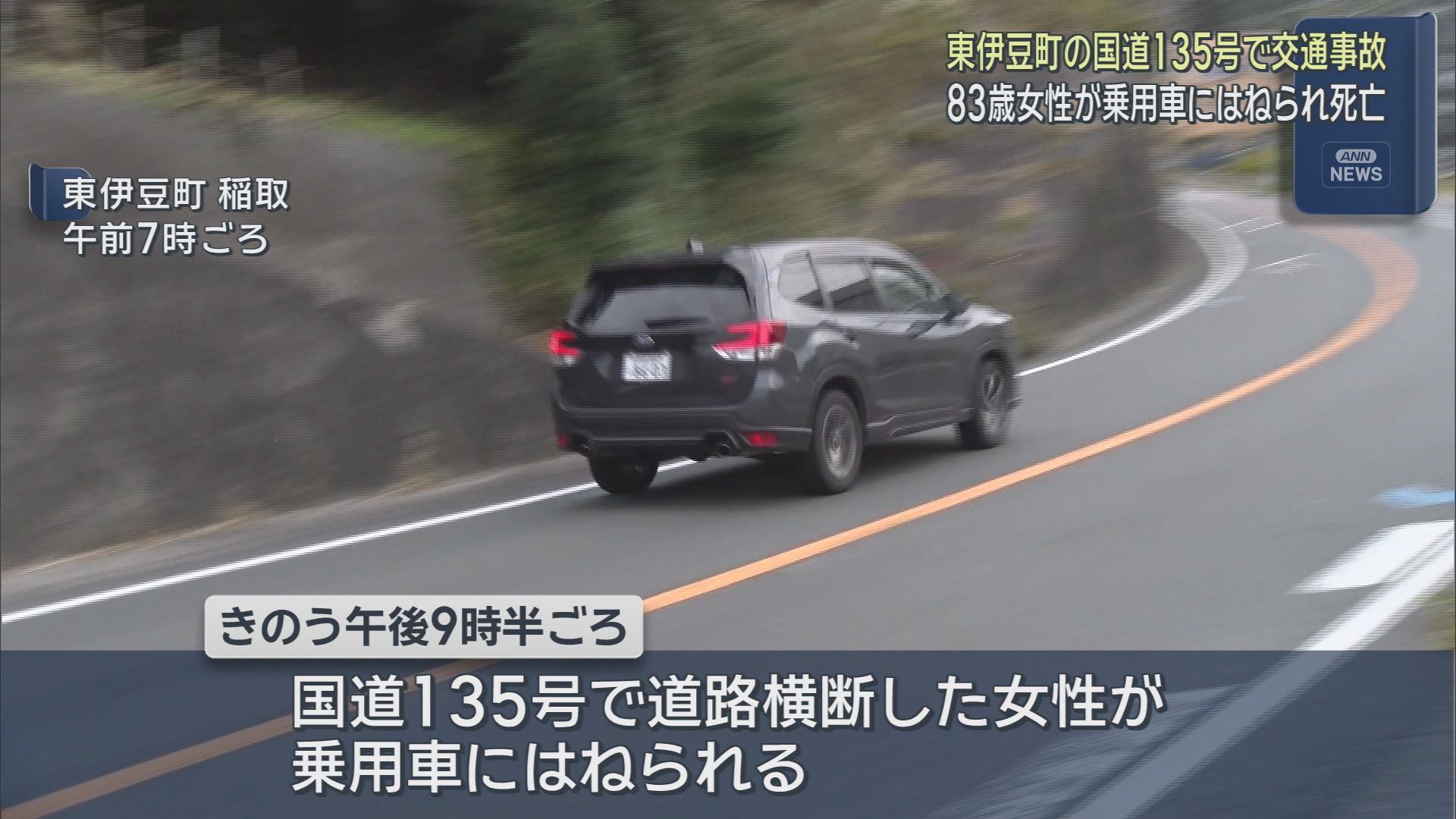 静岡・東伊豆町の国道で道路を横断していた８３歳の女性が乗用車にはねられ死亡