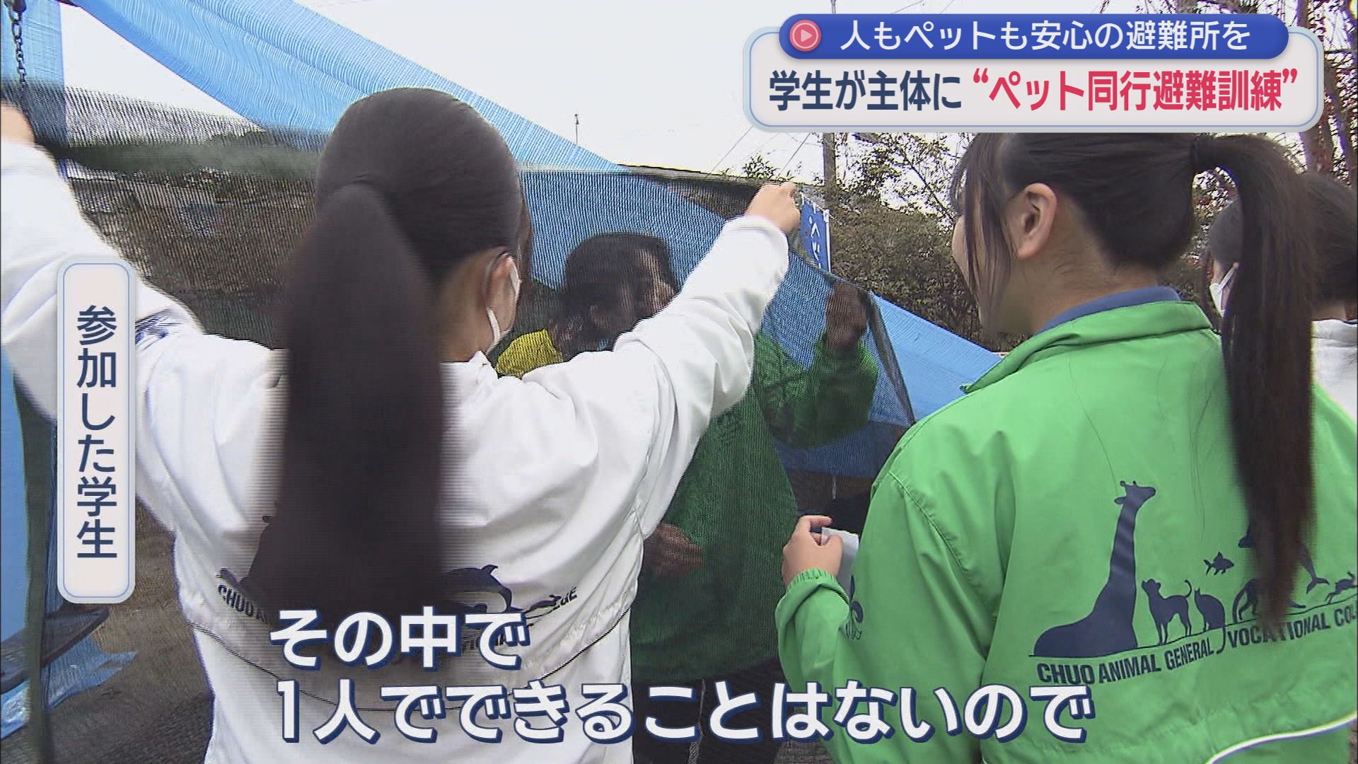 ペットスペースの設営訓練