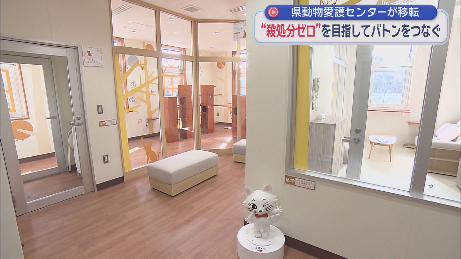 「しっぽのバトン」