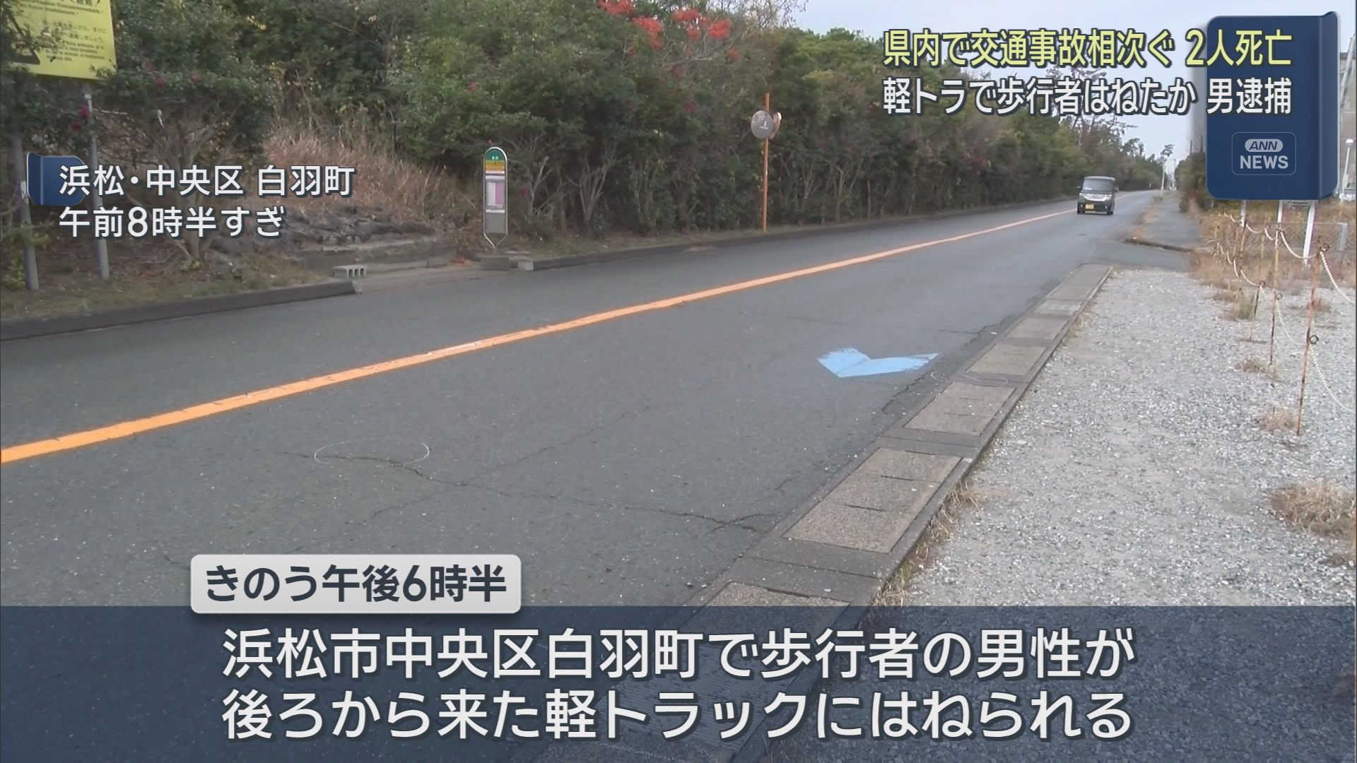 静岡県内で交通事故が相次ぐ　浜松市と御殿場市で2人が死亡