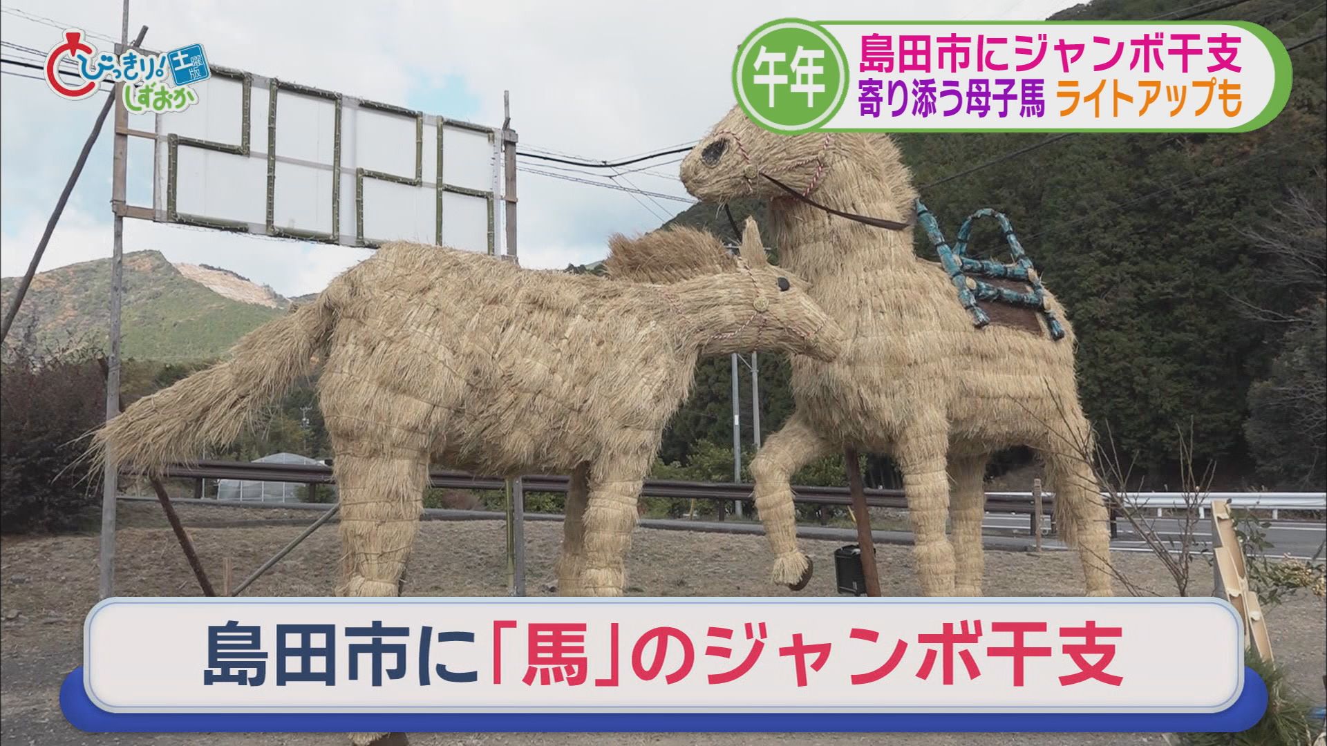 相撲未経験の中学生が角界入り　公正取引委員会がスズキ子会社に勧告　小國神社に車中泊スポット　ジャンボ干支登場　/静岡の1週間
