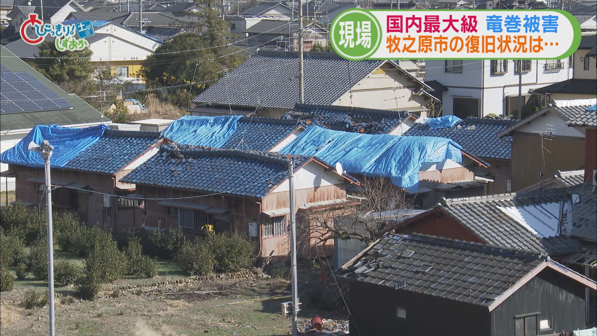 “国内最大規模“竜巻で1340棟に被害…3カ月たっても屋根にブルーシート　しばらくは張り直しの必要も　牧之原市　/静岡の2025年