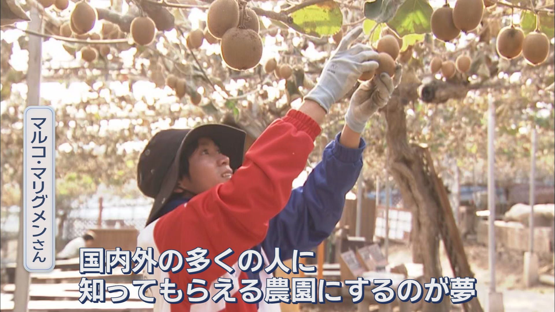 滞在しながら農業体験「ファームステイ」…外国人にも人気　フィリピン人男性の夢は〝観光農園〟　静岡・掛川市