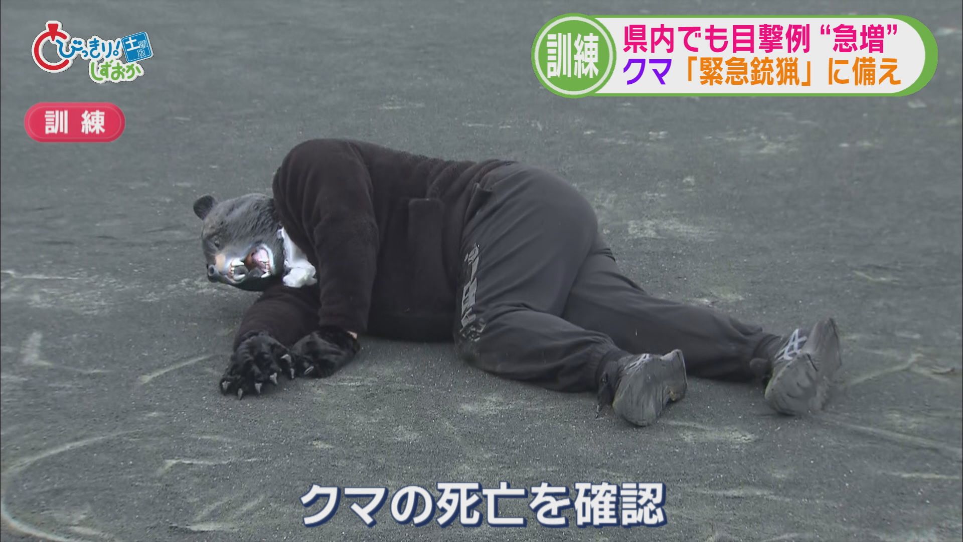 伊東市長選９人目の出馬表明　9台関連事故で7人搬送　インフル警報レベルに　クマ対策で県警が緊急銃猟訓練　/5分でわかる今週の静岡