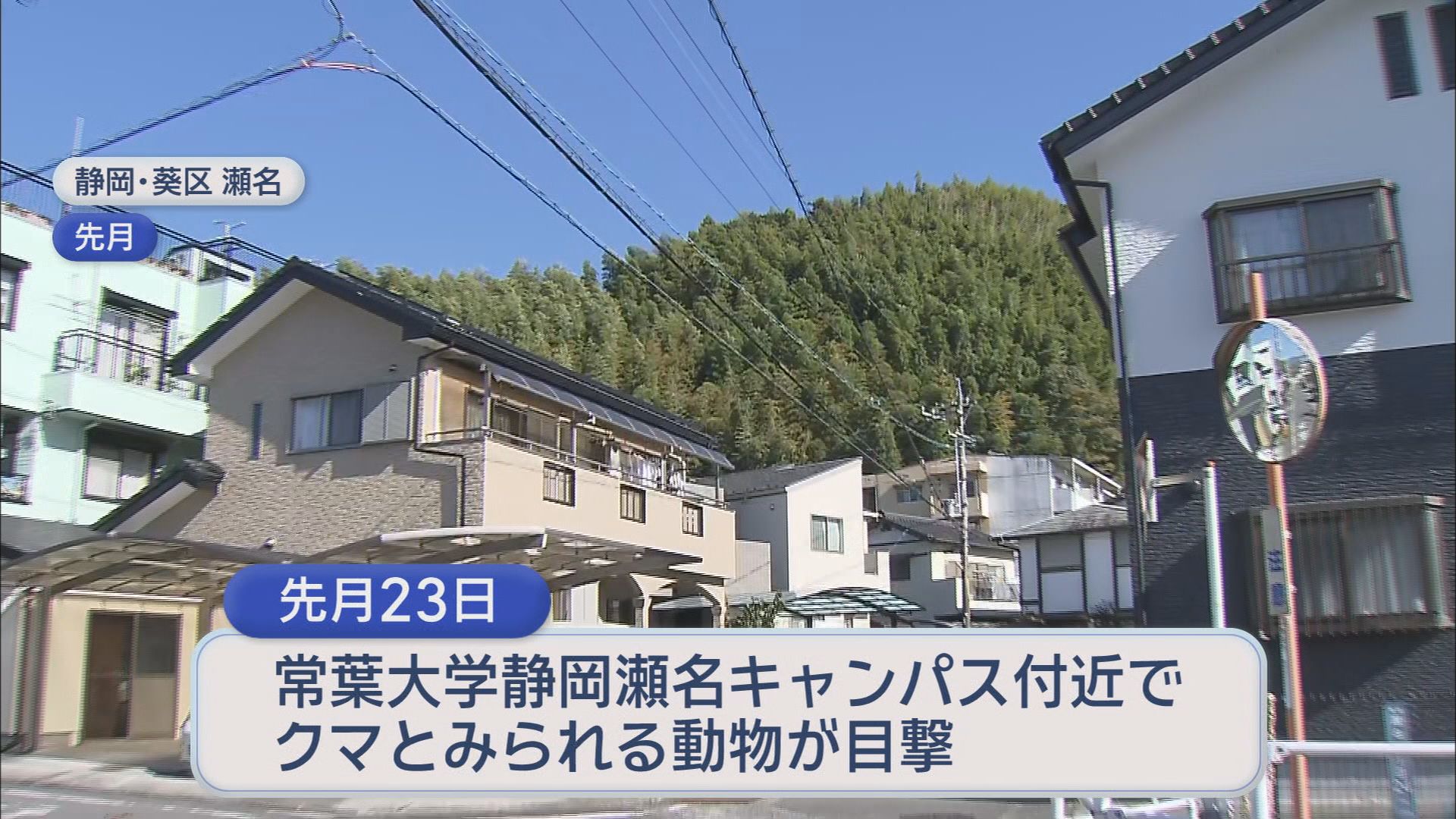 大学の近くでも目撃