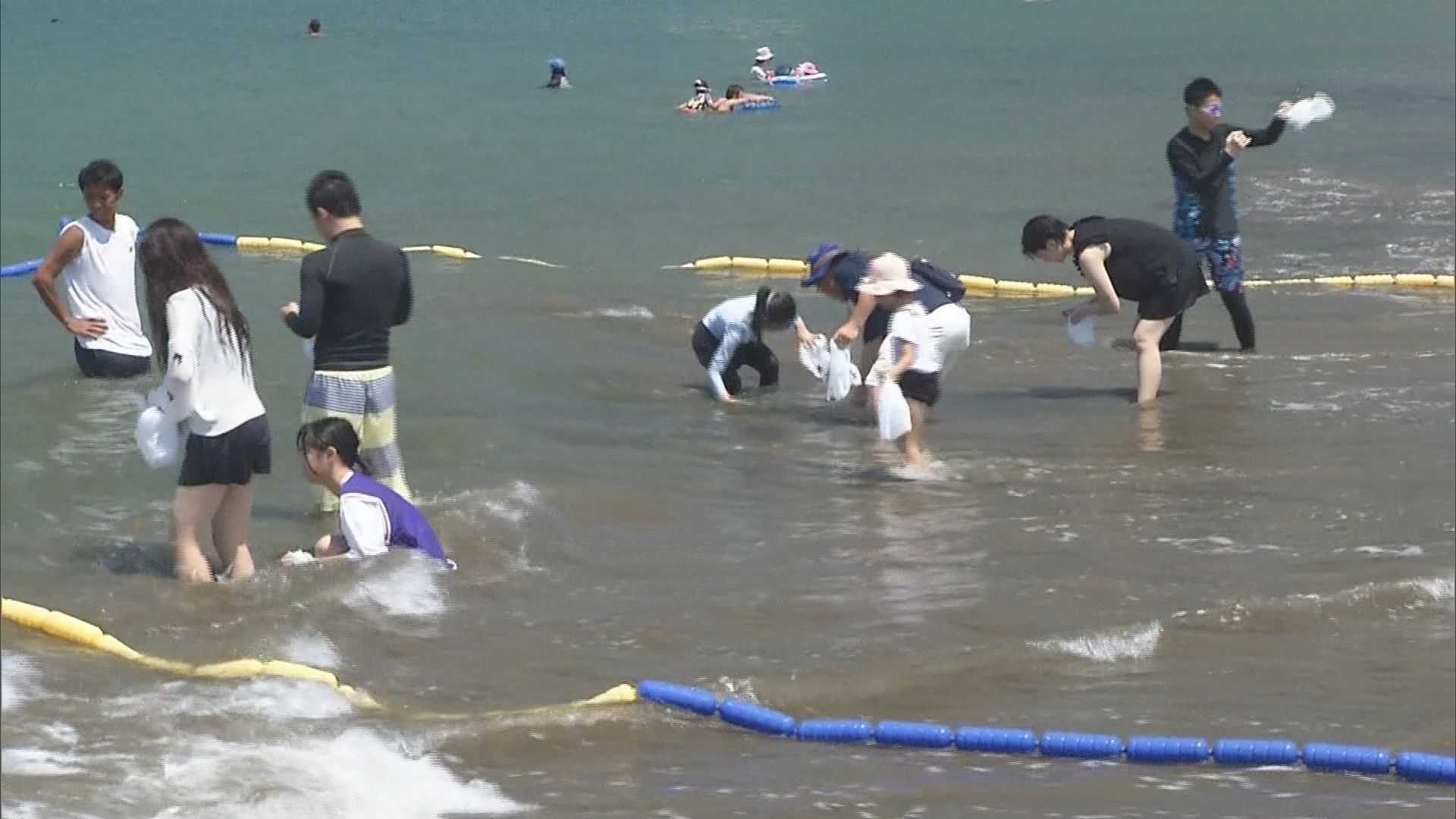 ビーチではサザエ狩りや宝探し