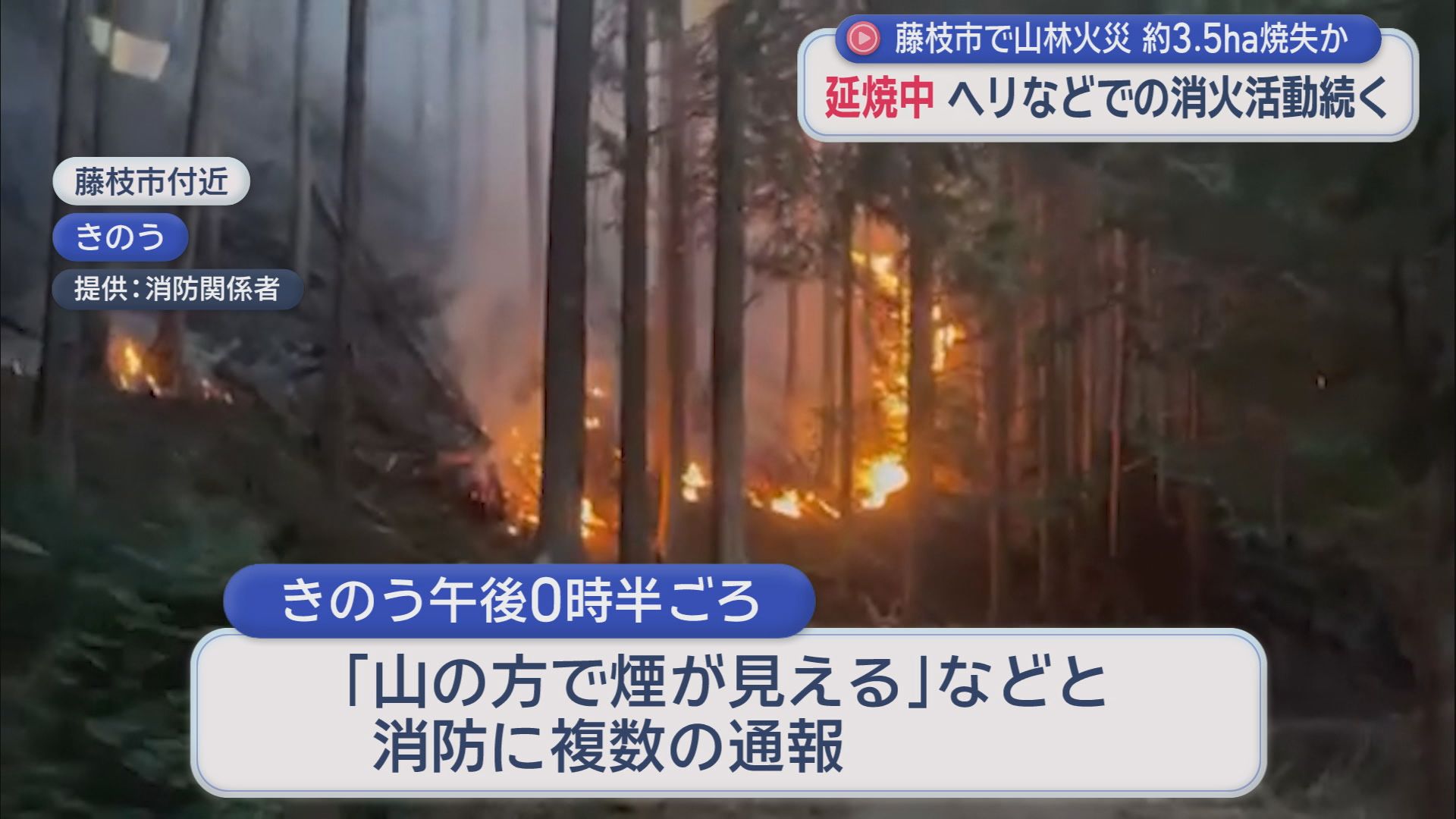 １７日に静岡・藤枝市で発生した山林火災の現場から全焼した乗用車が見つかる