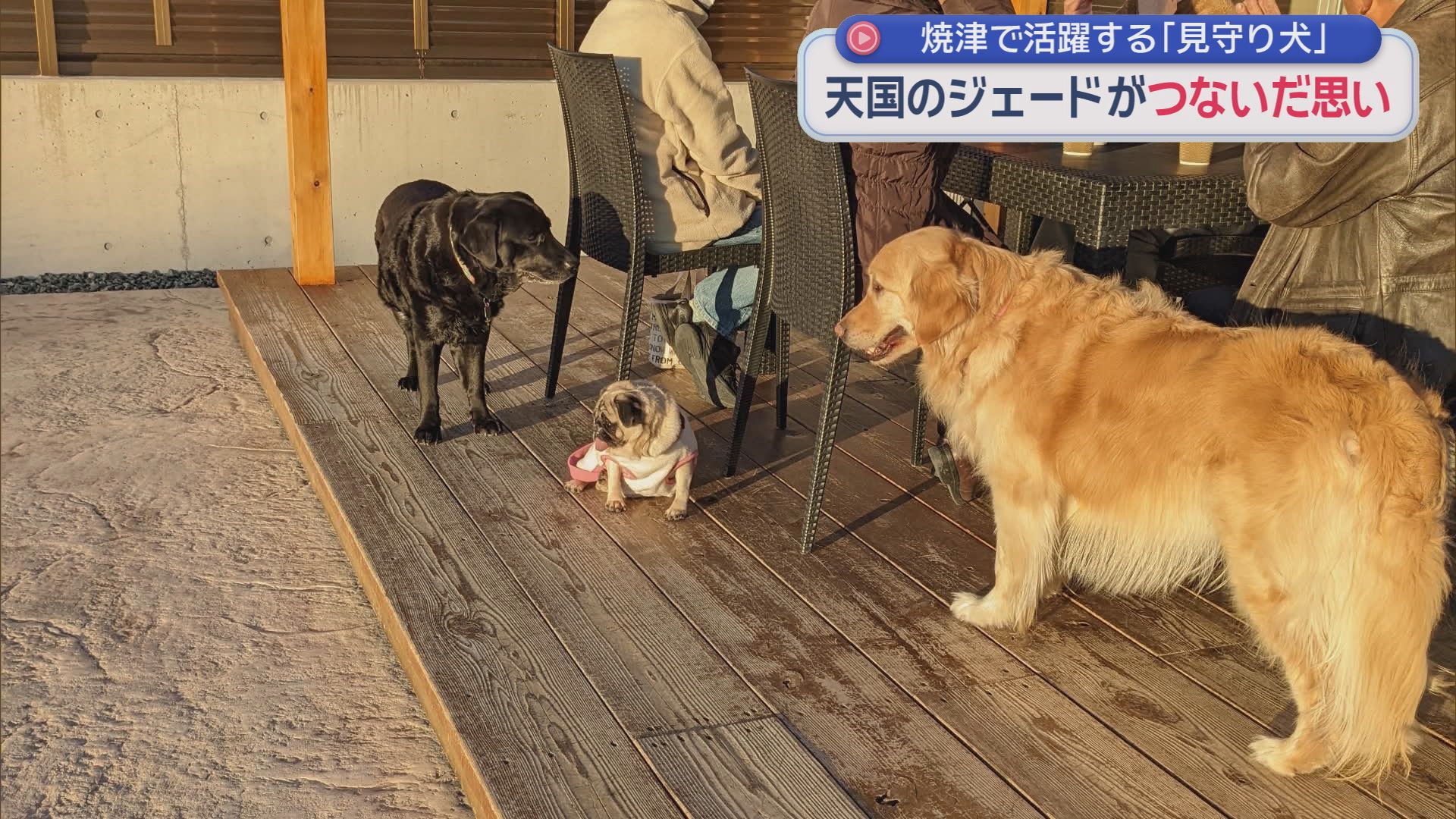 ジェードとウォークの交流