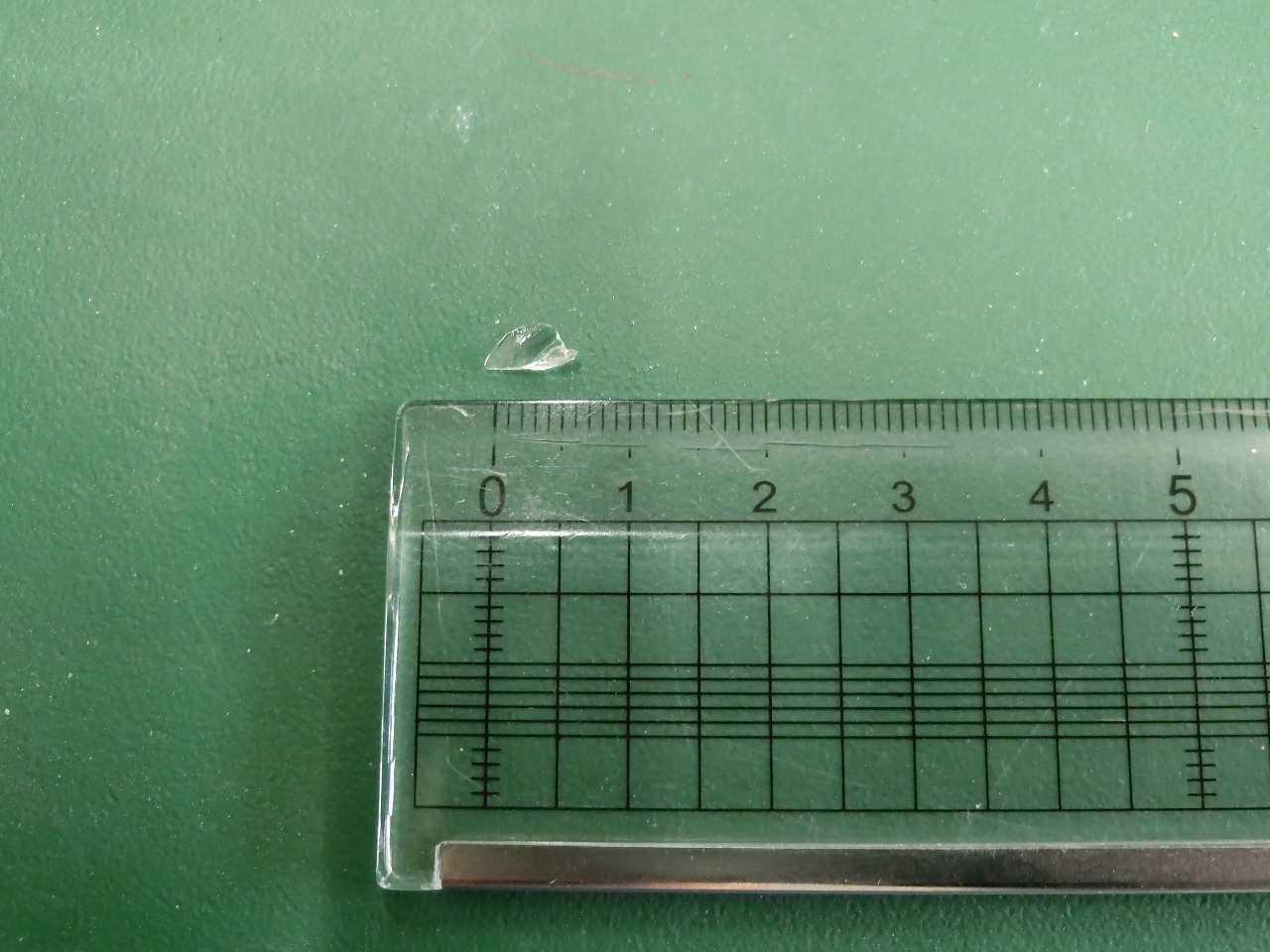 写真提供　富士市教育委員会