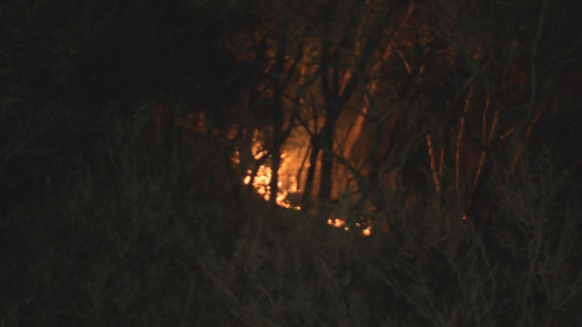 山林を走行して単独事故を起こし出火…山火事の出火元は全焼で見つかった乗用車か　静岡・藤枝市