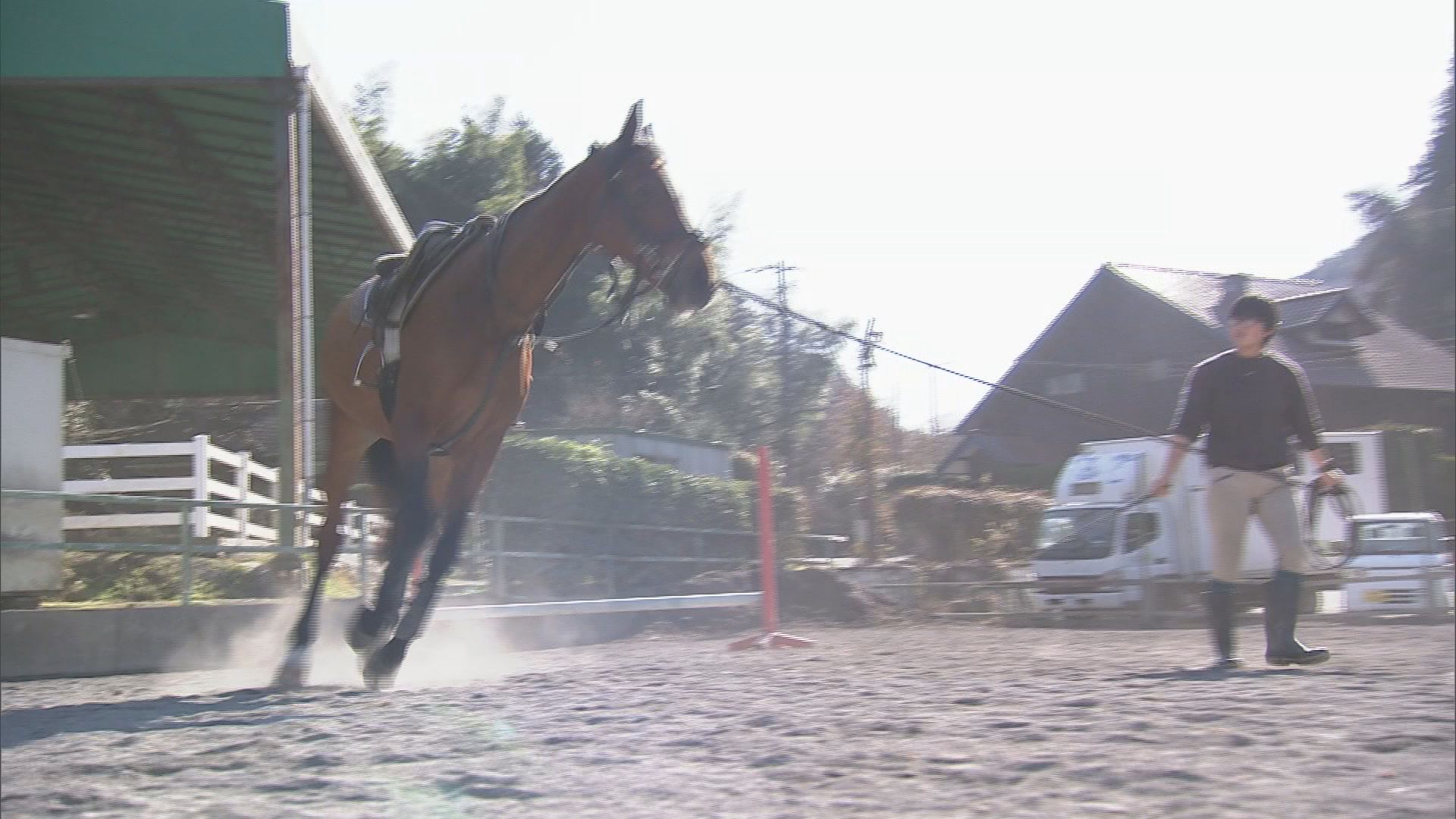 今年は午(うま)年…3歳から楽しめる乗馬に堀アナが挑戦　馬刺しや桜鍋を味わえる店も　静岡
