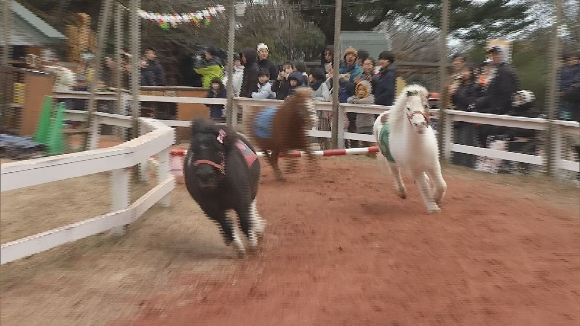 今年は午(うま)年…3歳から楽しめる乗馬に堀アナが挑戦　馬刺しや桜鍋を味わえる店も　静岡