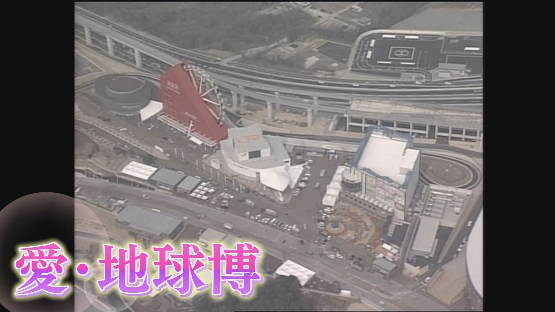 気になるニュースは?　将来の夢は?　新成人に聞きました　20年前は何があった　静岡