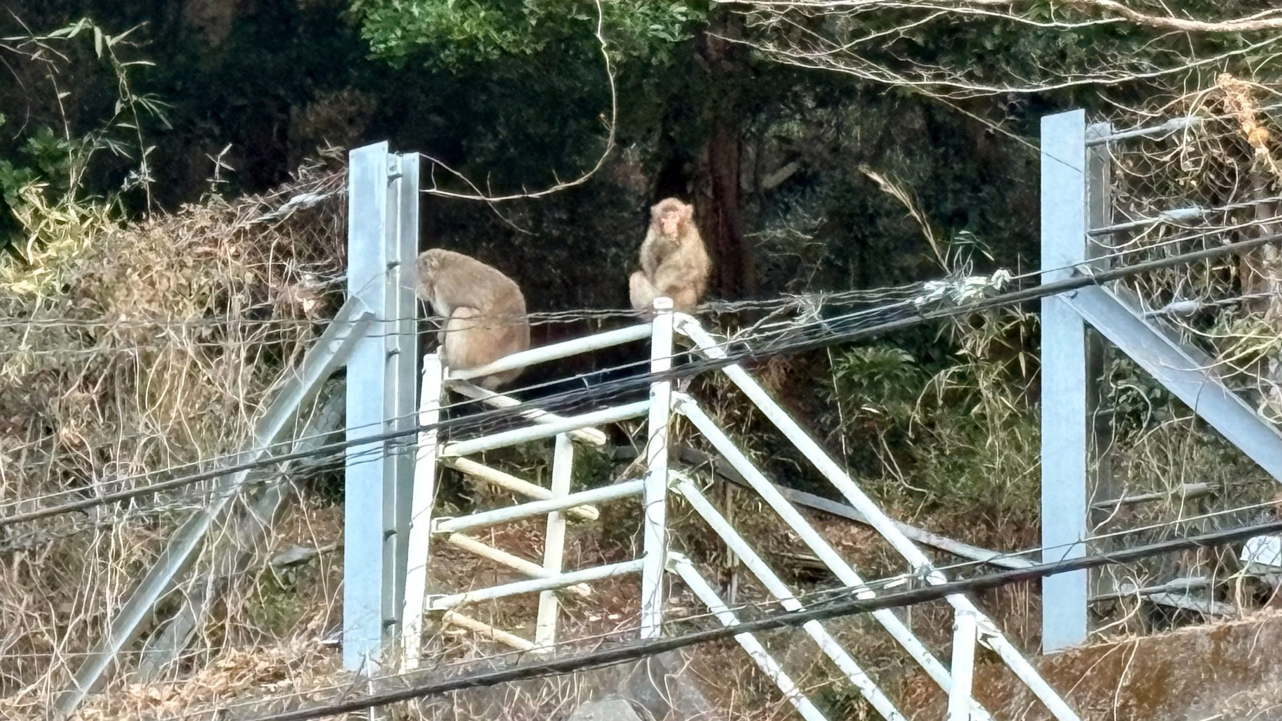 天竜区上野地区（提供　浜松市）