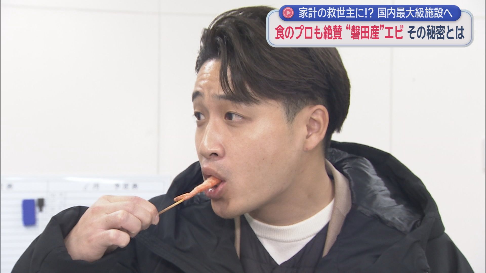 安定供給に期待の『陸上養殖』　すし職人絶賛も9割は輸入に頼る「バナメイエビ」　静岡・磐田市