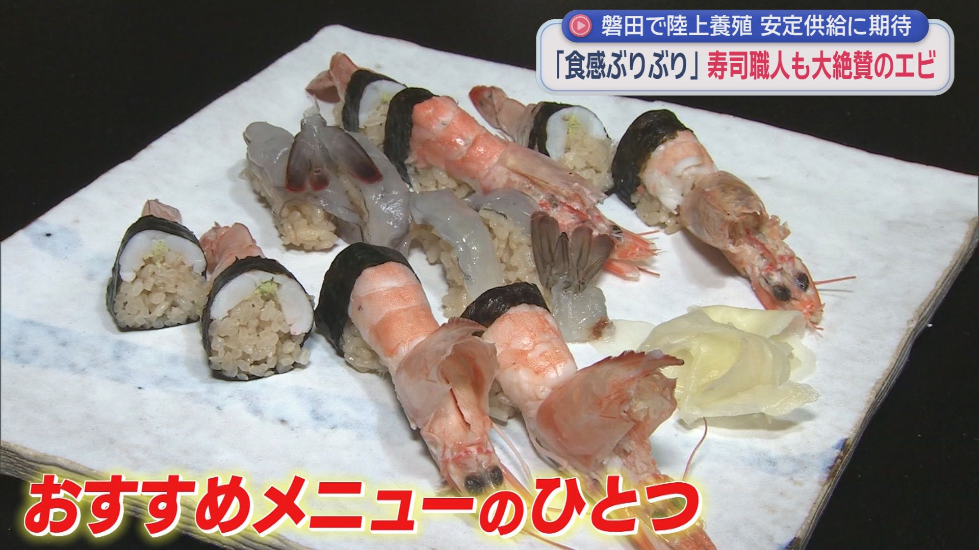 安定供給に期待の『陸上養殖』　すし職人絶賛も9割は輸入に頼る「バナメイエビ」　静岡・磐田市