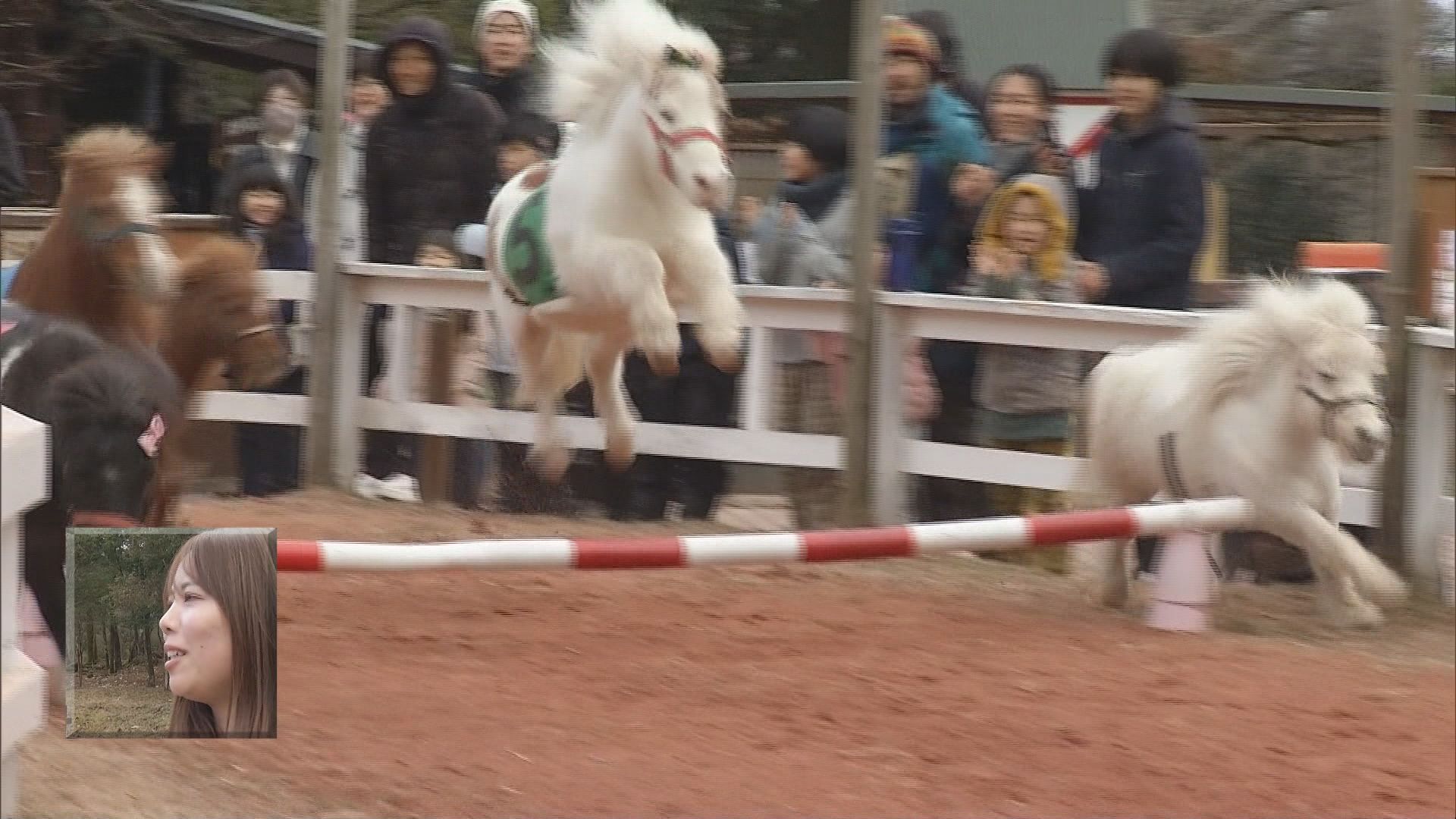 今年は午(うま)年…3歳から楽しめる乗馬に堀アナが挑戦　馬刺しや桜鍋を味わえる店も　静岡