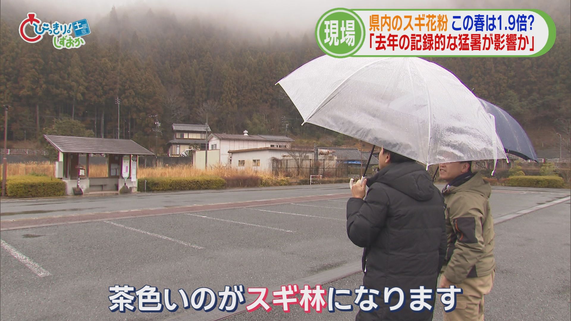 「目や鼻の中がかゆい」…今年の花粉は平年の1.9倍　耳鼻科医「静岡に引っ越してきた患者が多い」　対策グッズのトレンドは？　