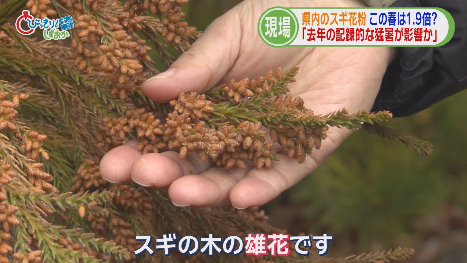 「目や鼻の中がかゆい」…今年の花粉は平年の1.9倍　耳鼻科医「静岡に引っ越してきた患者が多い」　対策グッズのトレンドは？　