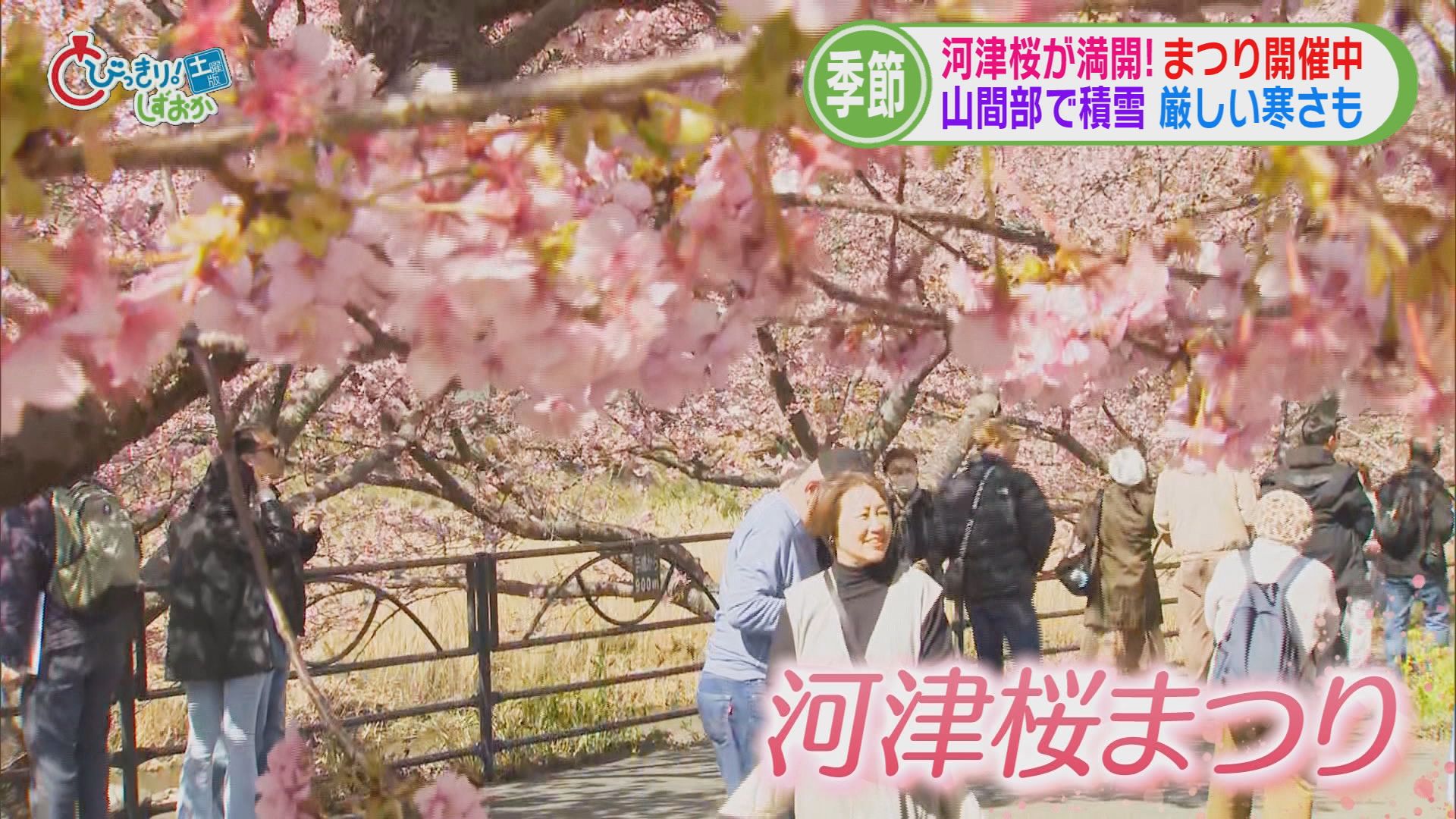 伊豆市で今年4回目の“野焼き”火災　静岡市の新スタジアムに大きな動き　特別国会召集、県内選出新人議員も　/5分でわかる今週の静岡