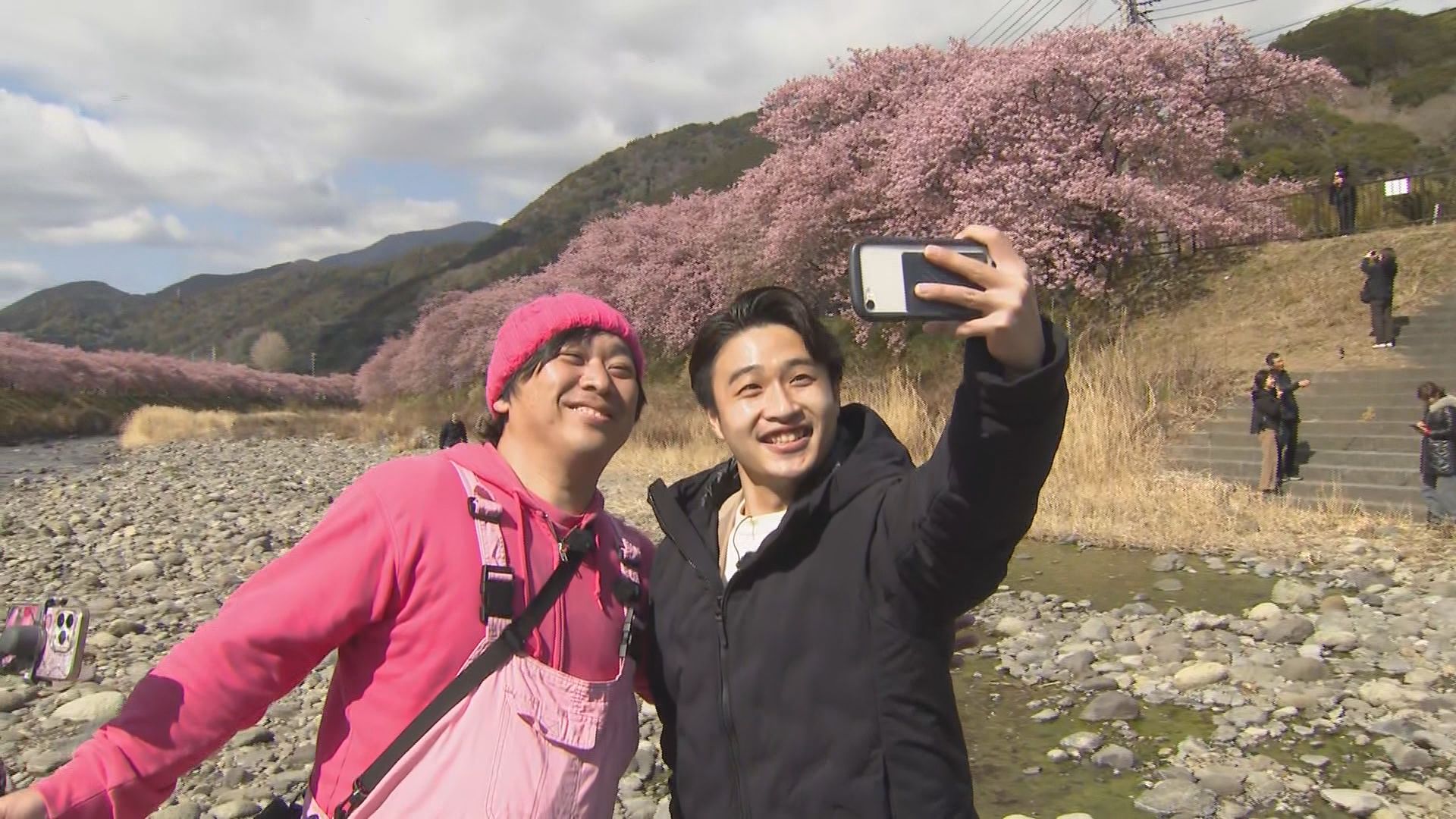 2週間ほど早い「見ごろ宣言」…河津桜まつりの見どころ・食べ処を地元ユーチューバーが案内　静岡・河津町