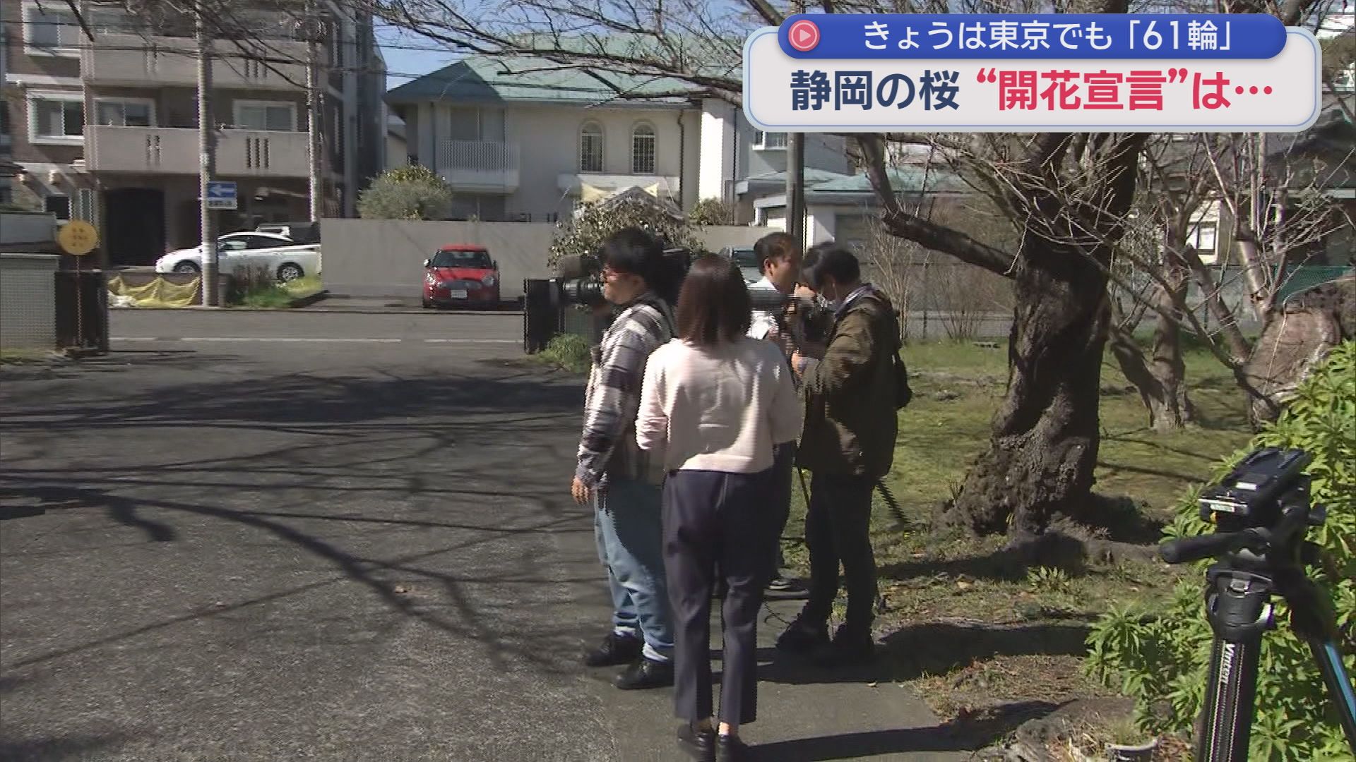 テレビ局も集合