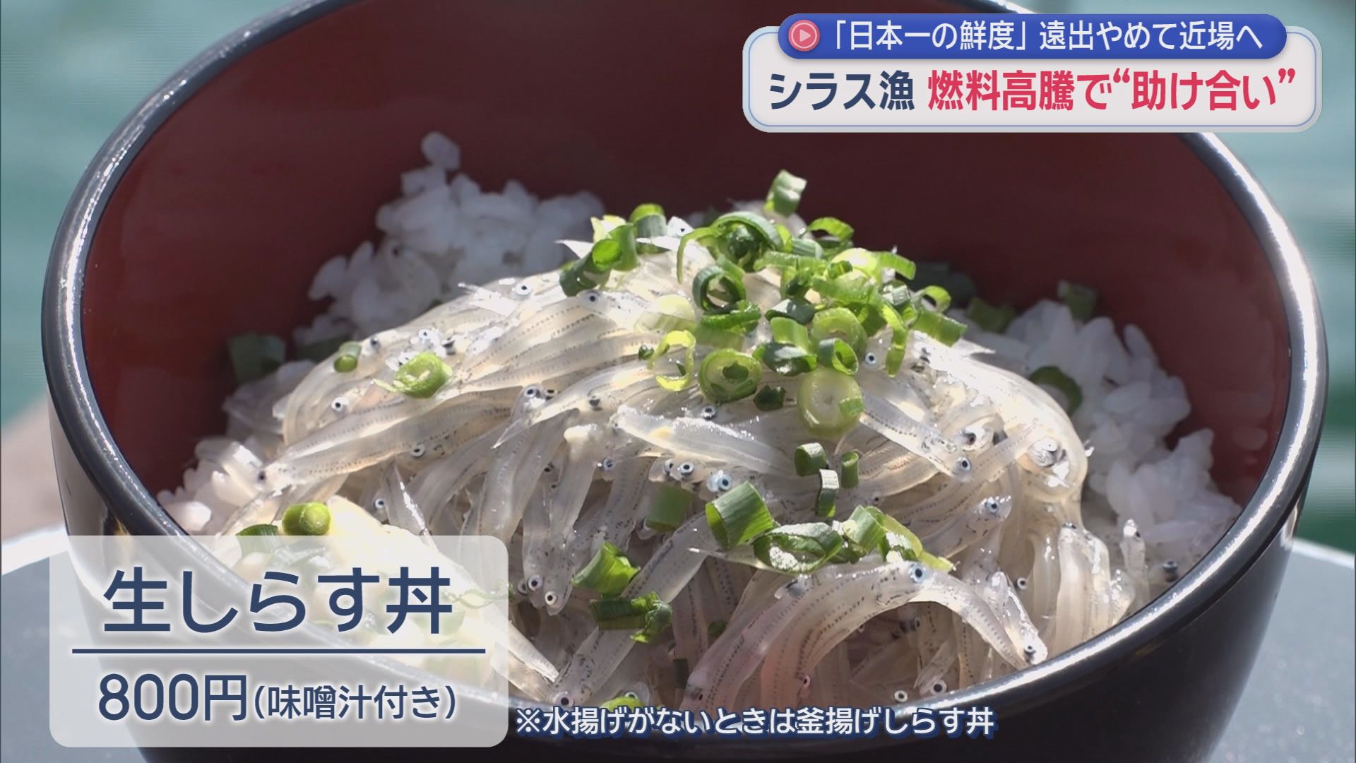 イラン情勢によって続く原油高　静岡のシラス漁にも影響が…