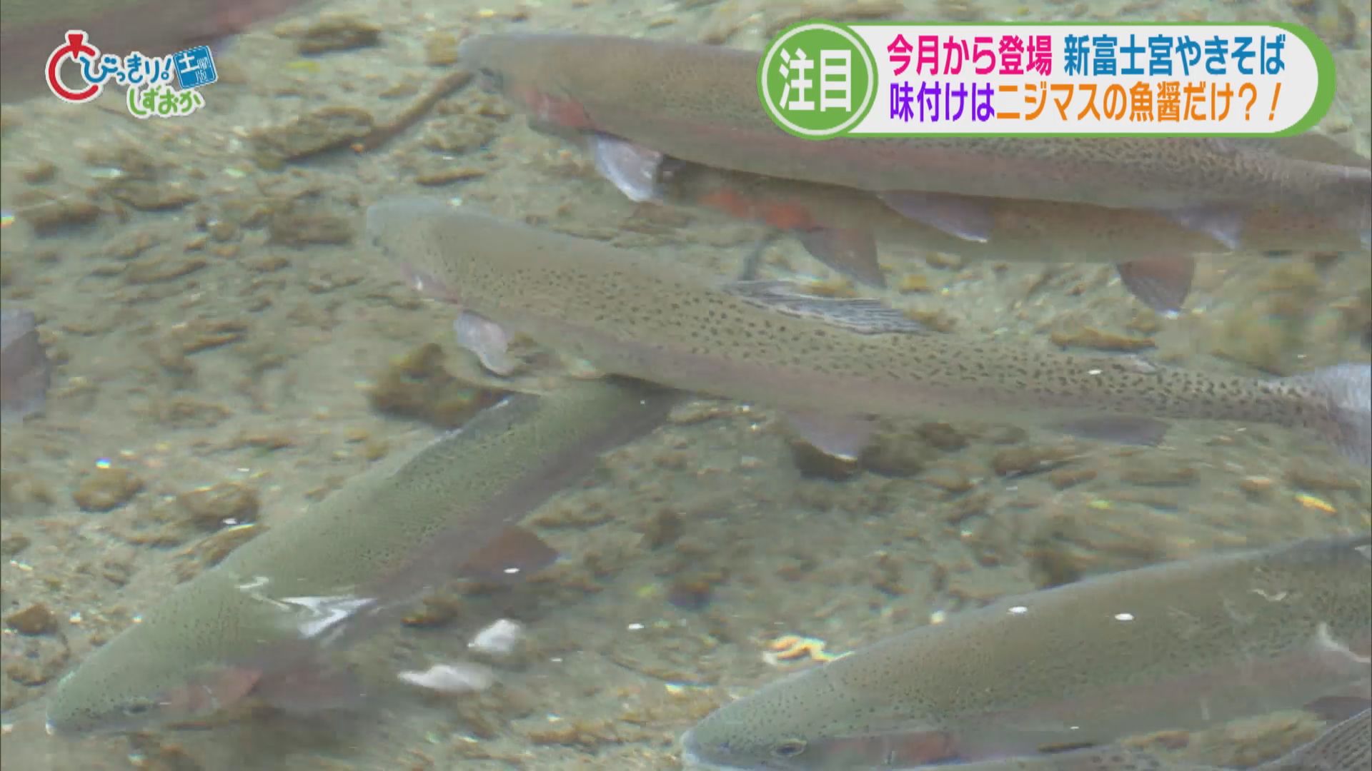 「富士宮焼きそばの革命」!?　ソースの代わりに富士山の湧水で育てた地元の名物を　静岡・富士宮市