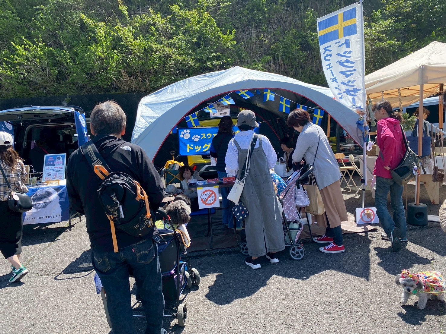 愛犬と人が楽しむ