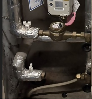 （画像提供：静岡市）