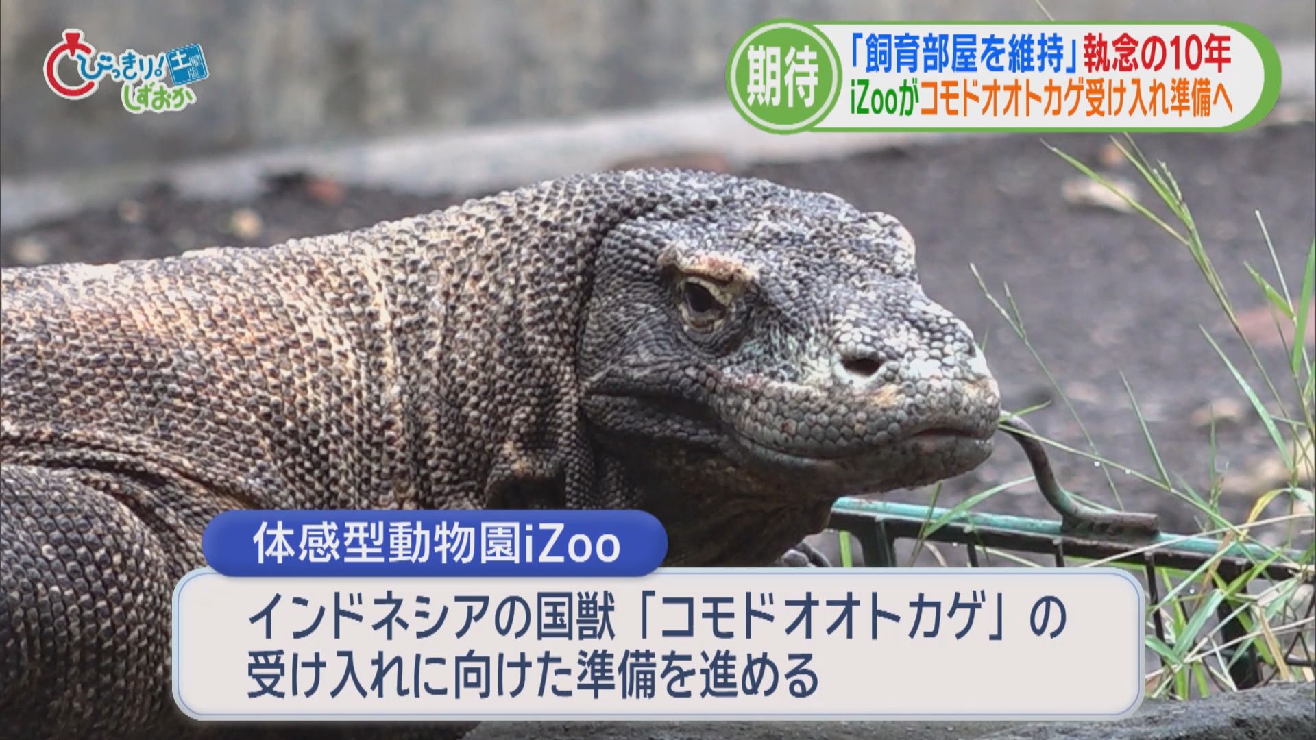 「ちら見せ」田久保前市長を書類送検　リニア“静岡問題”解決に大きな前進　世界最大のトカゲ受け入れ知事に報告　静銀と名古屋銀行が統合　/5分でわかる今週の静岡
