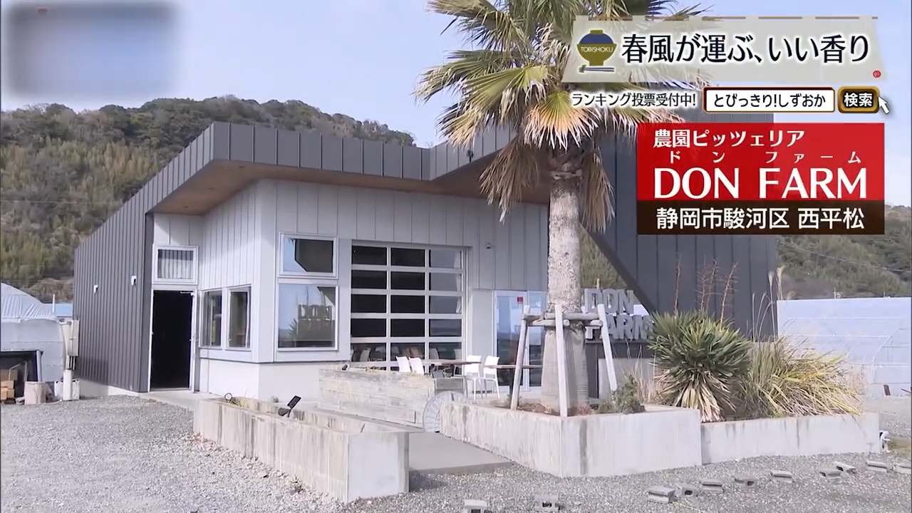 畑から始まる一皿 野菜の香りで魅せる農園イタリアン　静岡市「ドンファーム」