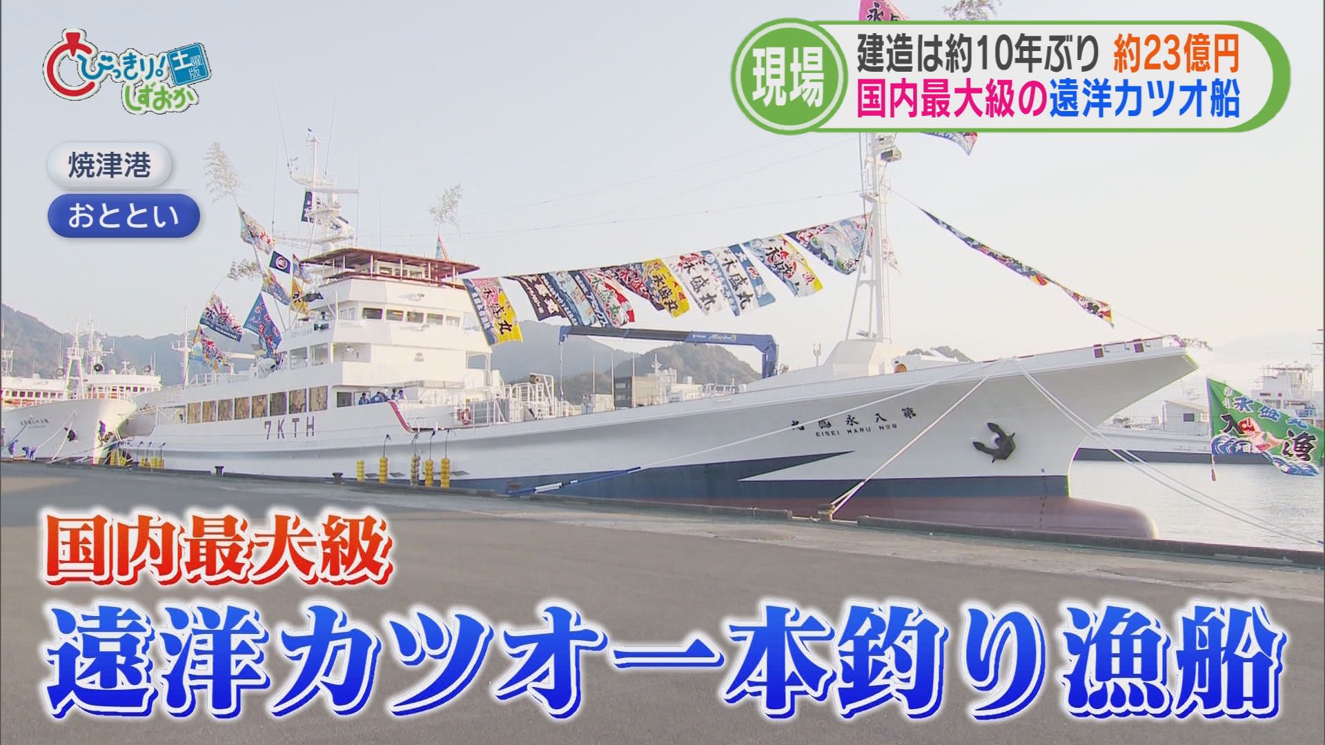 うらやましい…28歳年収2800万円、19歳の新人も1000万円　国内最大級の遠洋カツオ一本釣り漁船に同乗リポ　静岡・沼津市