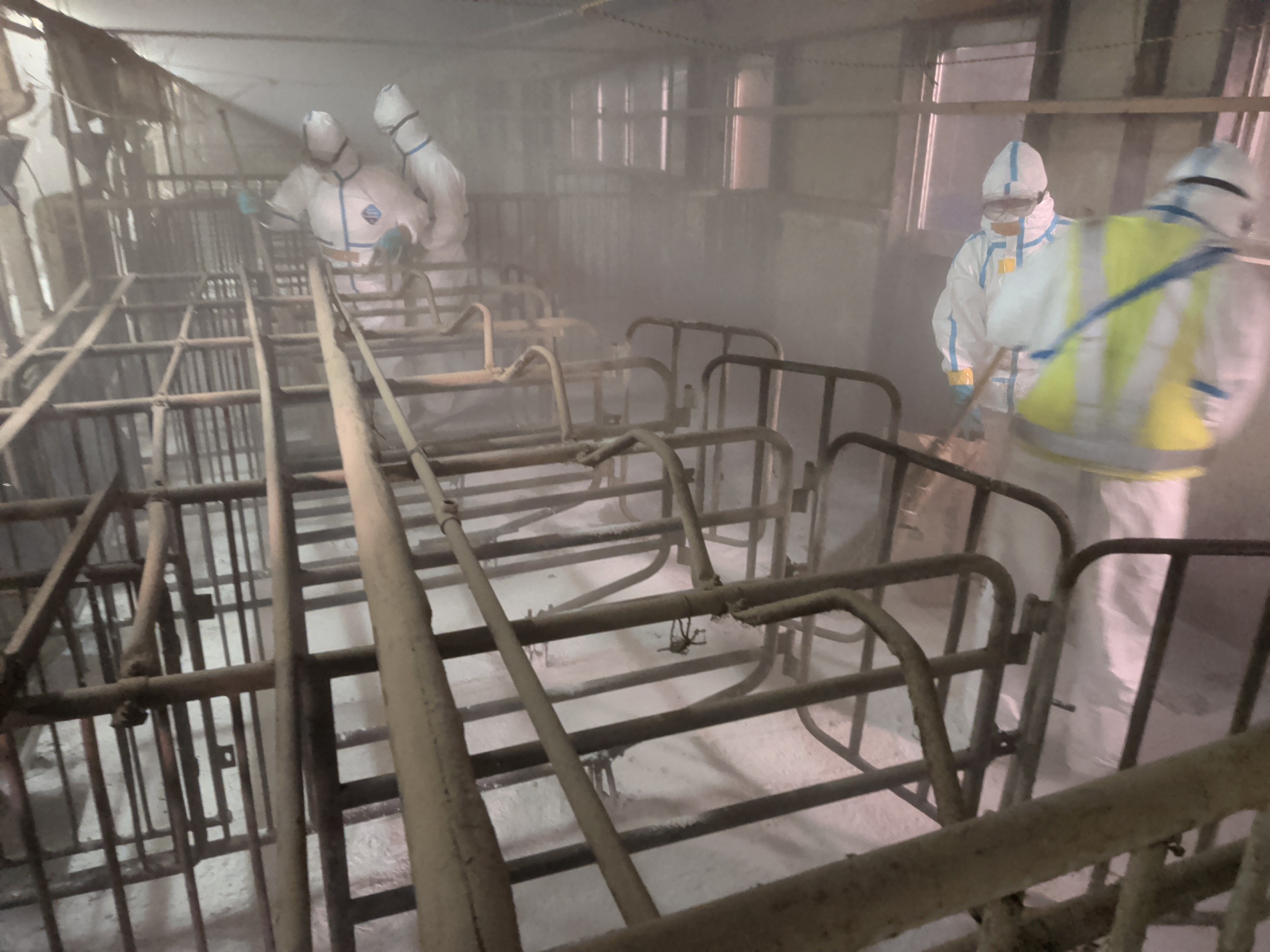 写真：静岡県提供　１５日撮影