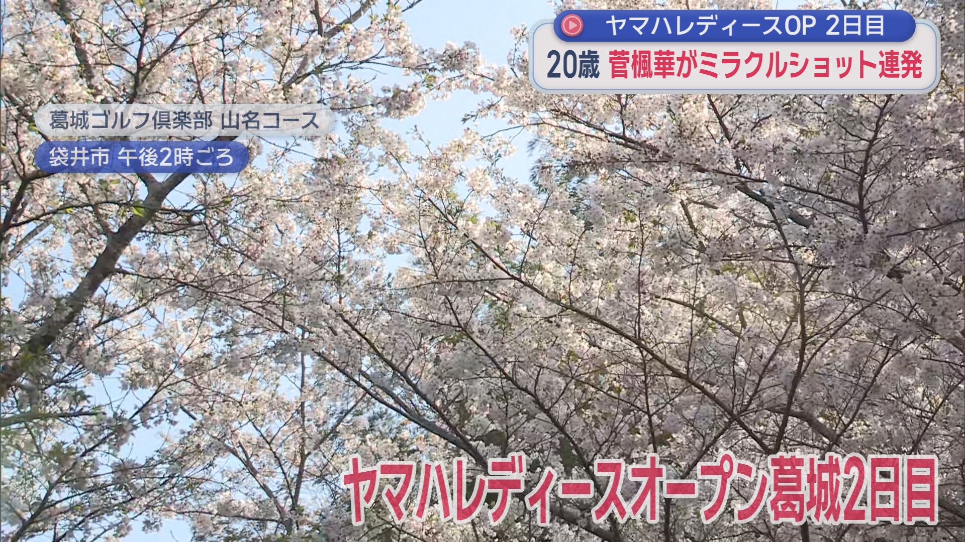 20歳・菅楓華がミラクルショット連発で首位　熱海出身・渡辺彩香は決勝進出　ヤマハレディースオープン葛城２日目　静岡・袋井市