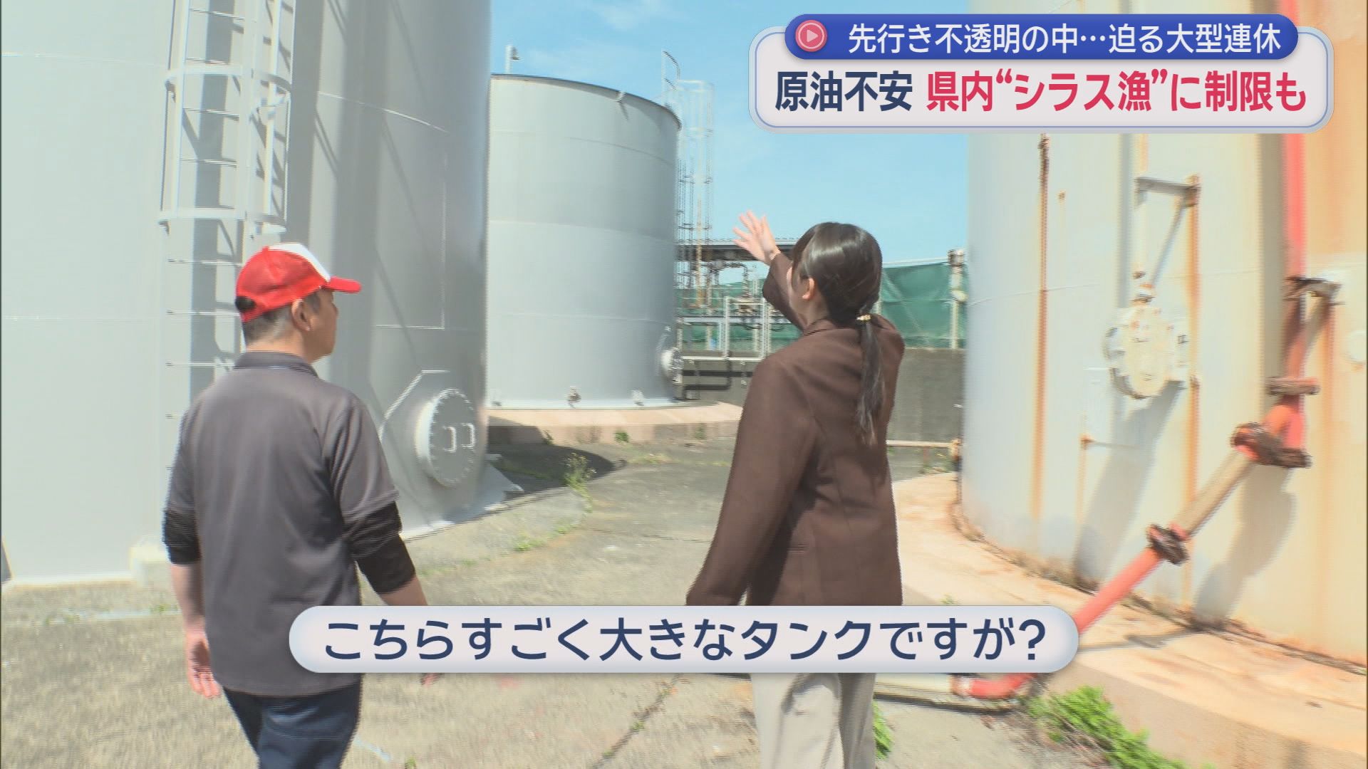 「水揚げ増を期待してたのに…」　先の見えない中東情勢に今が旬のシラス漁もダメージ　漁は週6から週2に制限　静岡・御前崎市　