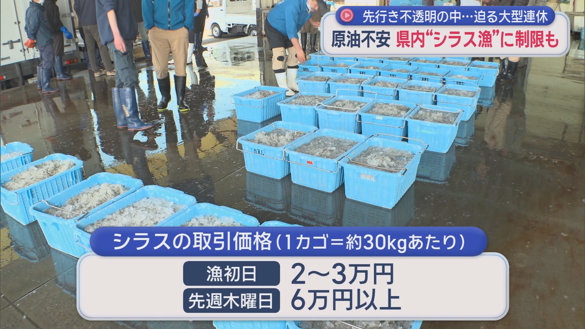 「水揚げ増を期待してたのに…」　先の見えない中東情勢に今が旬のシラス漁もダメージ　漁は週6から週2に制限　静岡・御前崎市　
