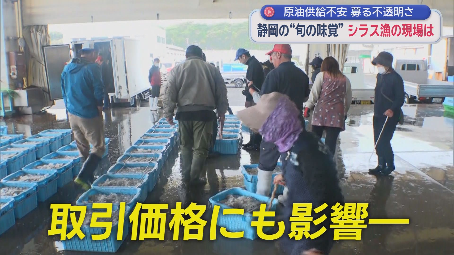 水揚げは順調なのに…　燃料不足でシラス漁も制限　静岡県内にも先行き不透明なイラン情勢の影響